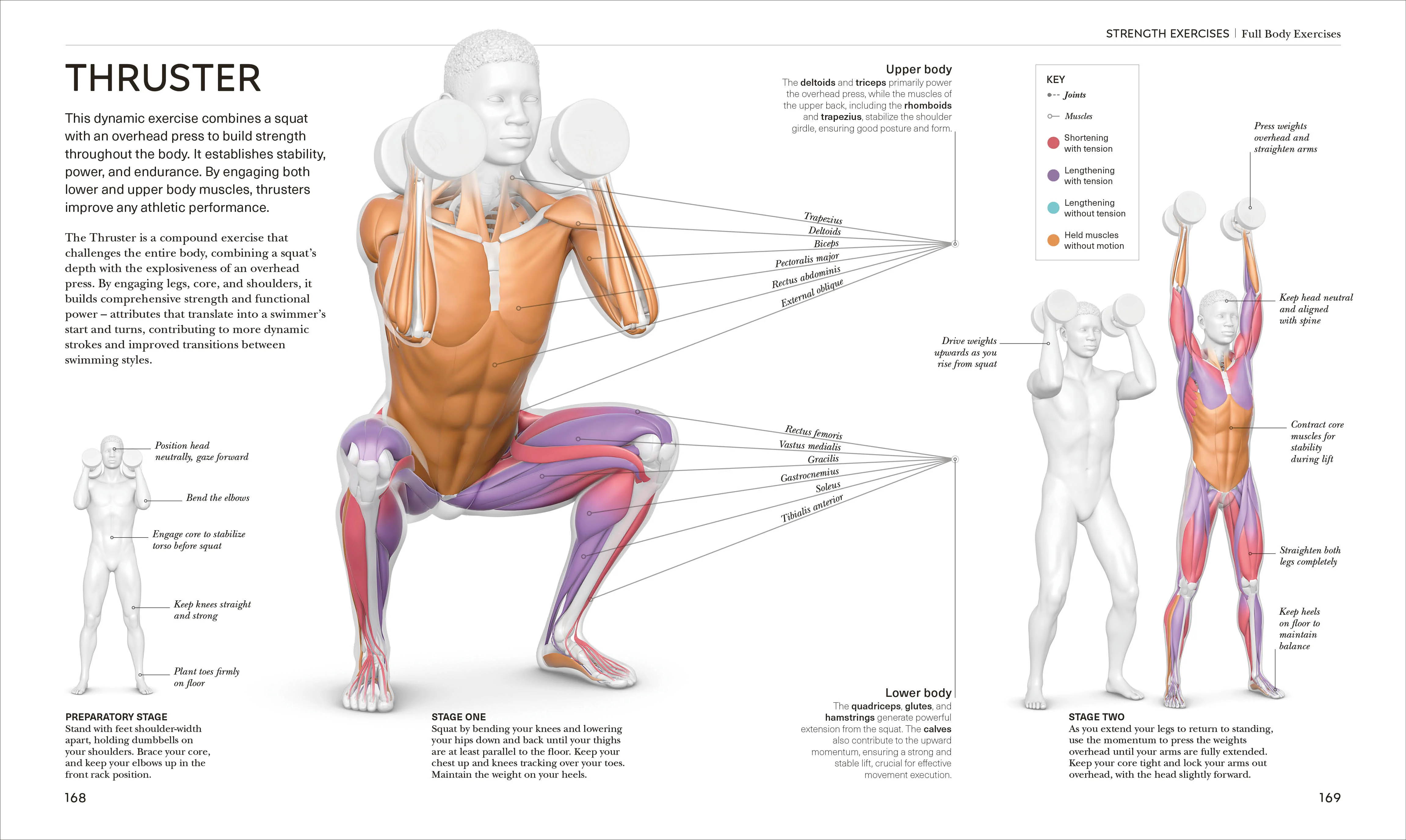 Science of Swimming - Image 6