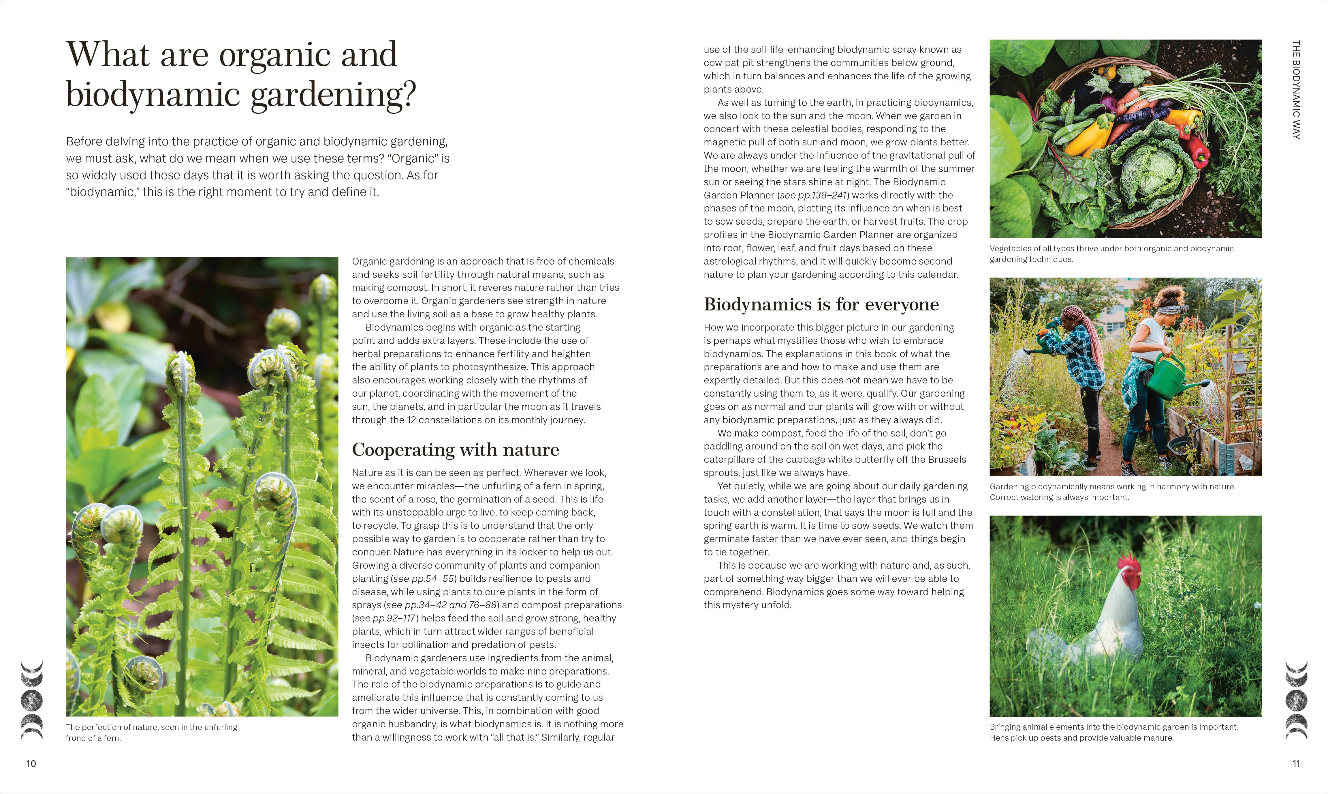 Biodynamic Gardening - Image 3