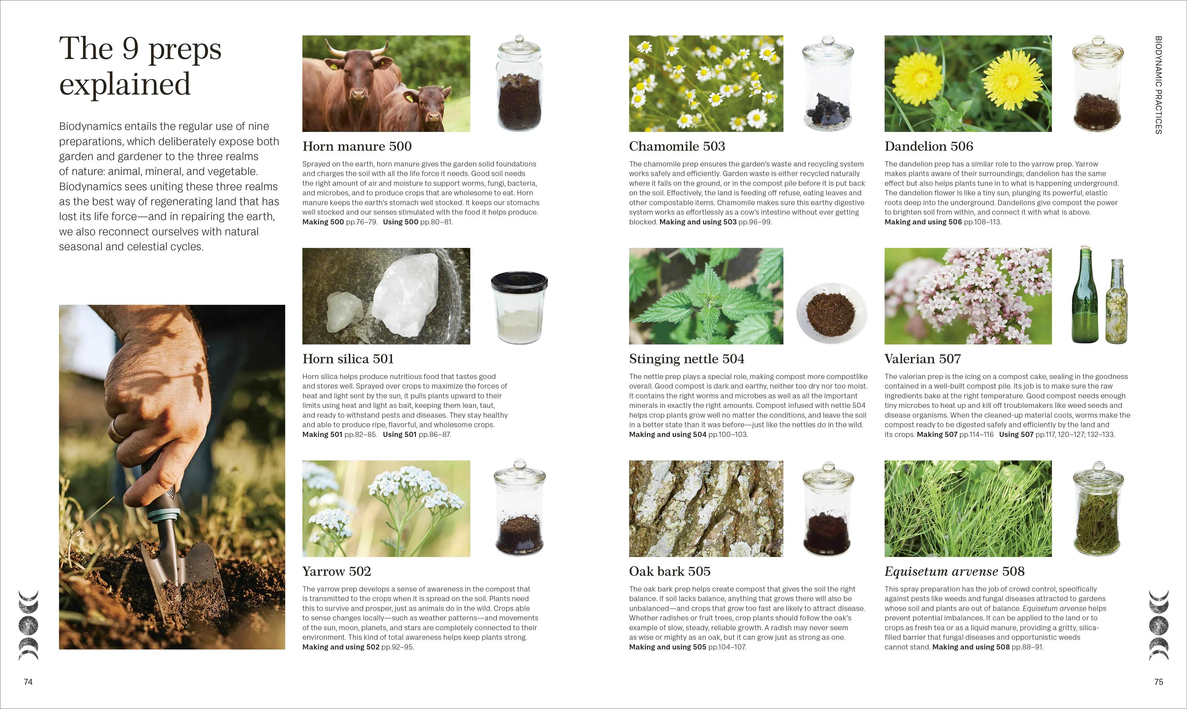 Biodynamic Gardening - Image 5