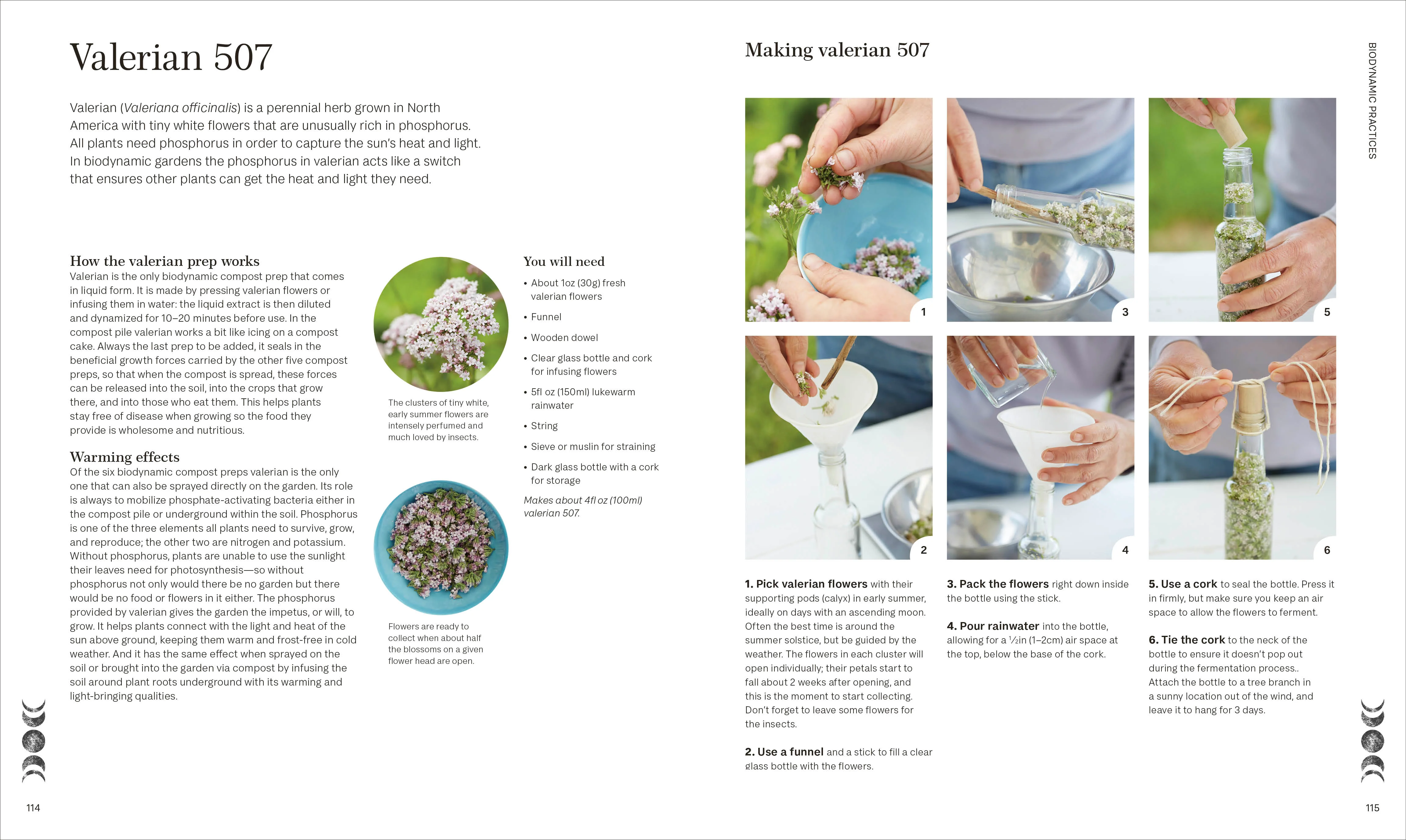 Biodynamic Gardening - Image 6