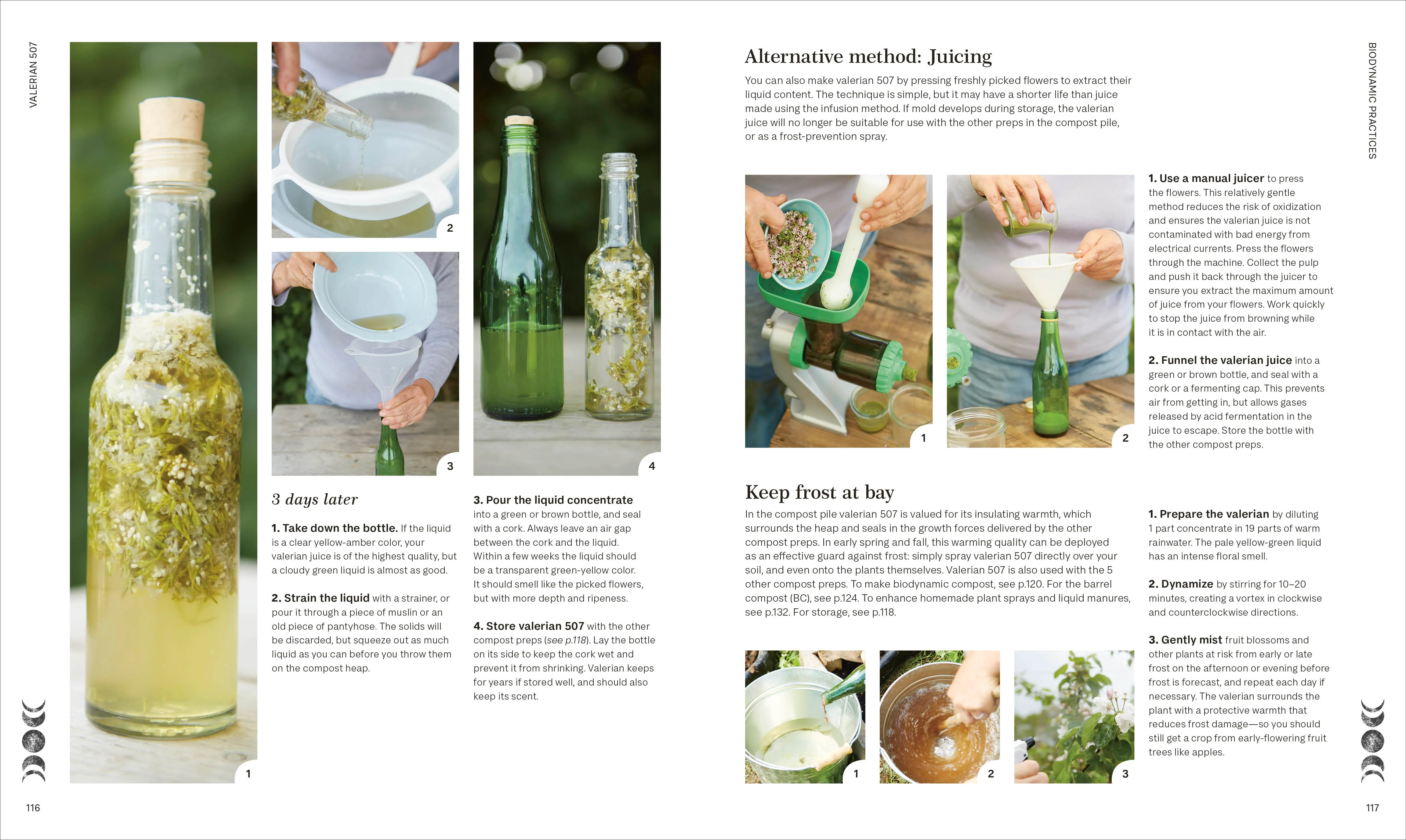 Biodynamic Gardening - Image 7