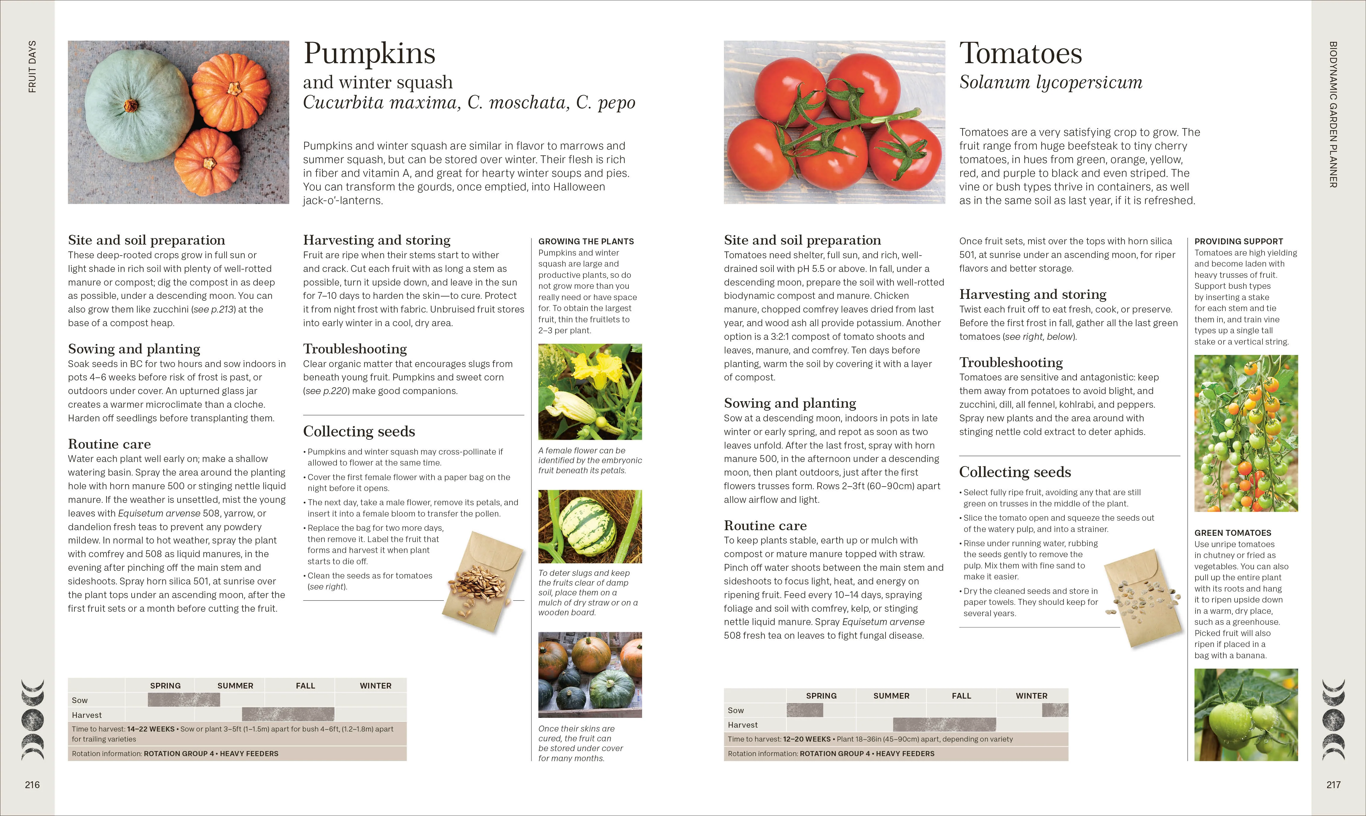 Biodynamic Gardening - Image 8