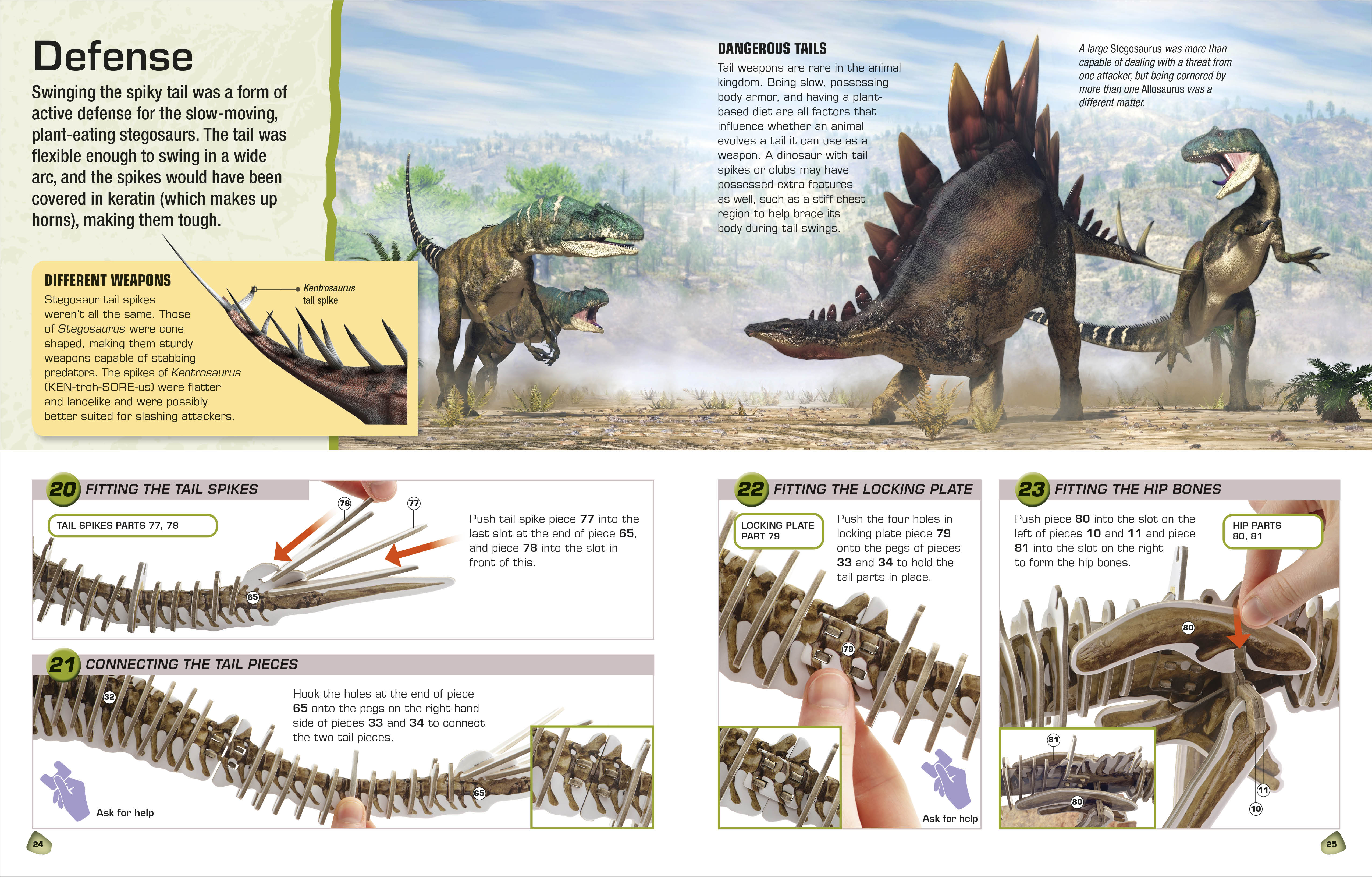 Make Your Own Stegosaurus - Image 4