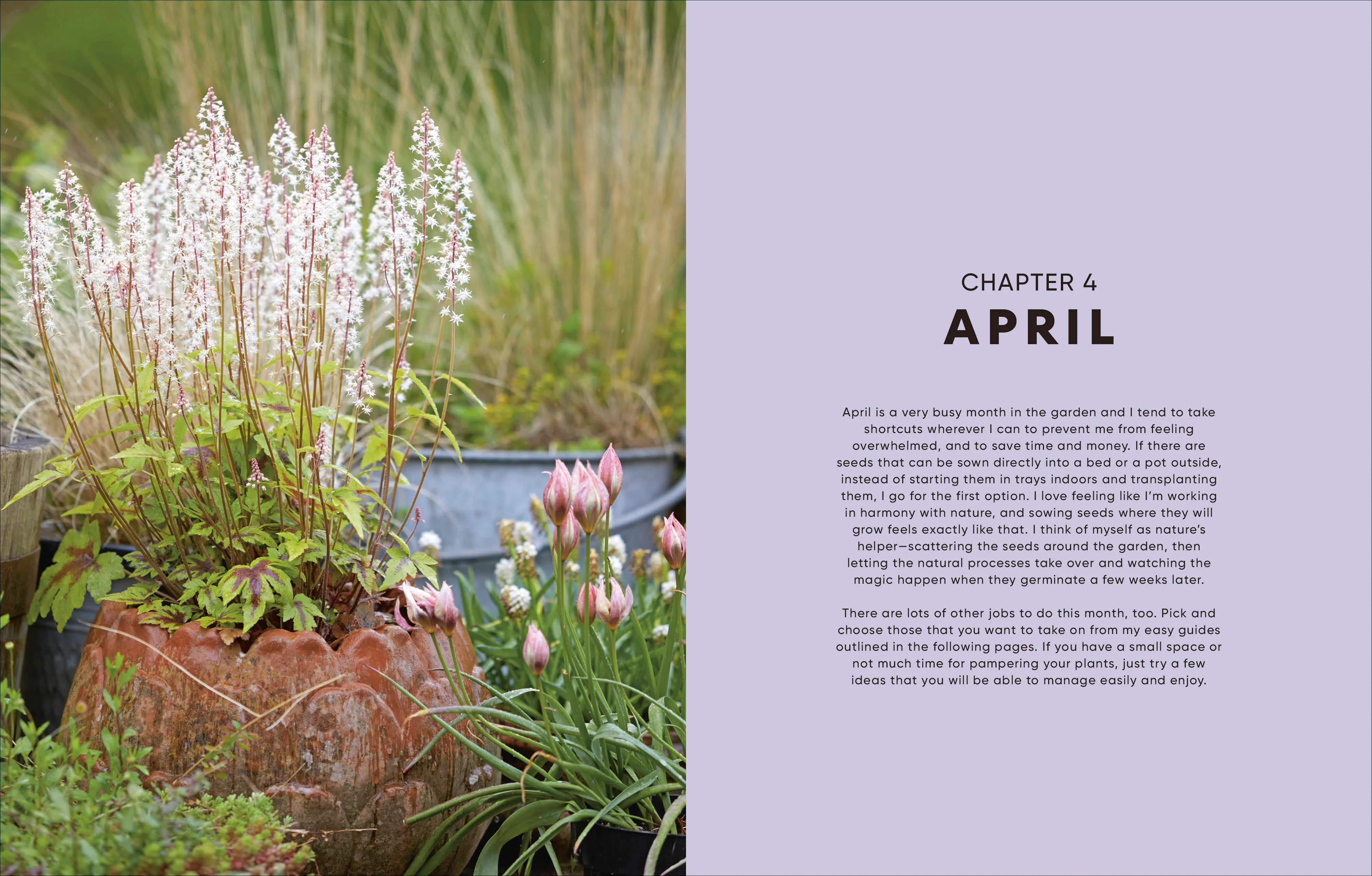 The Money-Saving Garden Year - Image 4