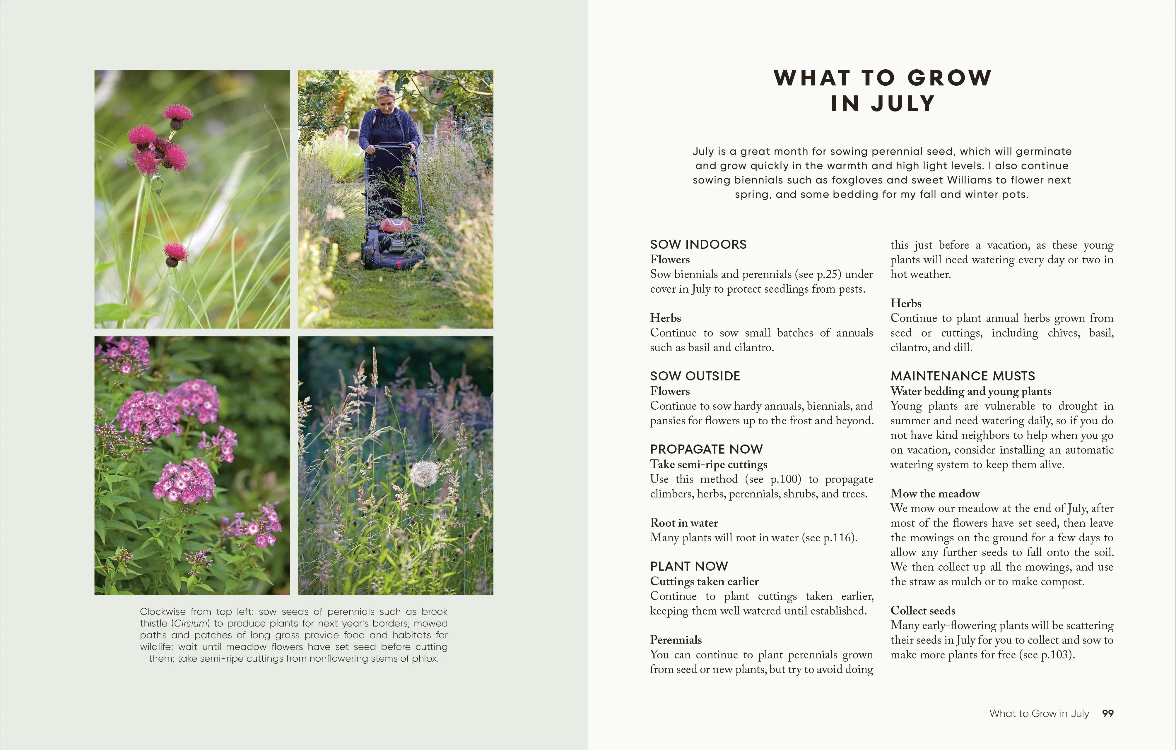 The Money-Saving Garden Year - Image 5