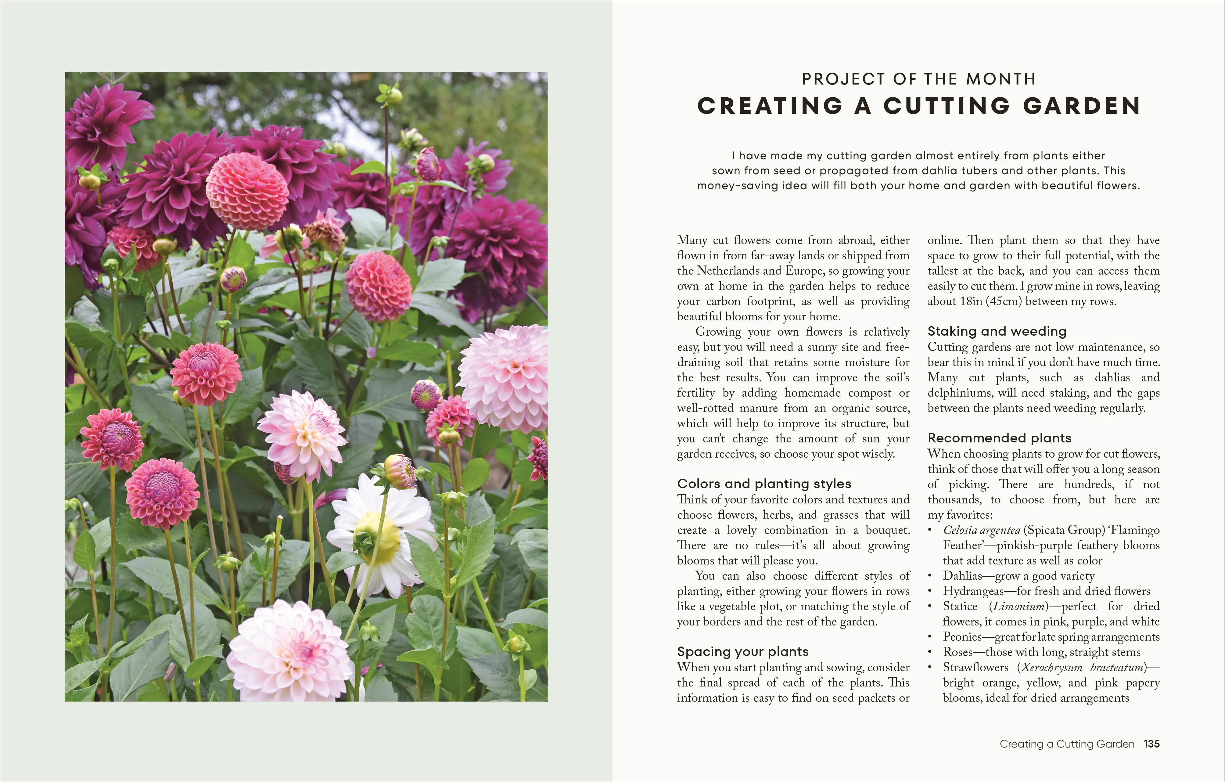 The Money-Saving Garden Year - Image 7