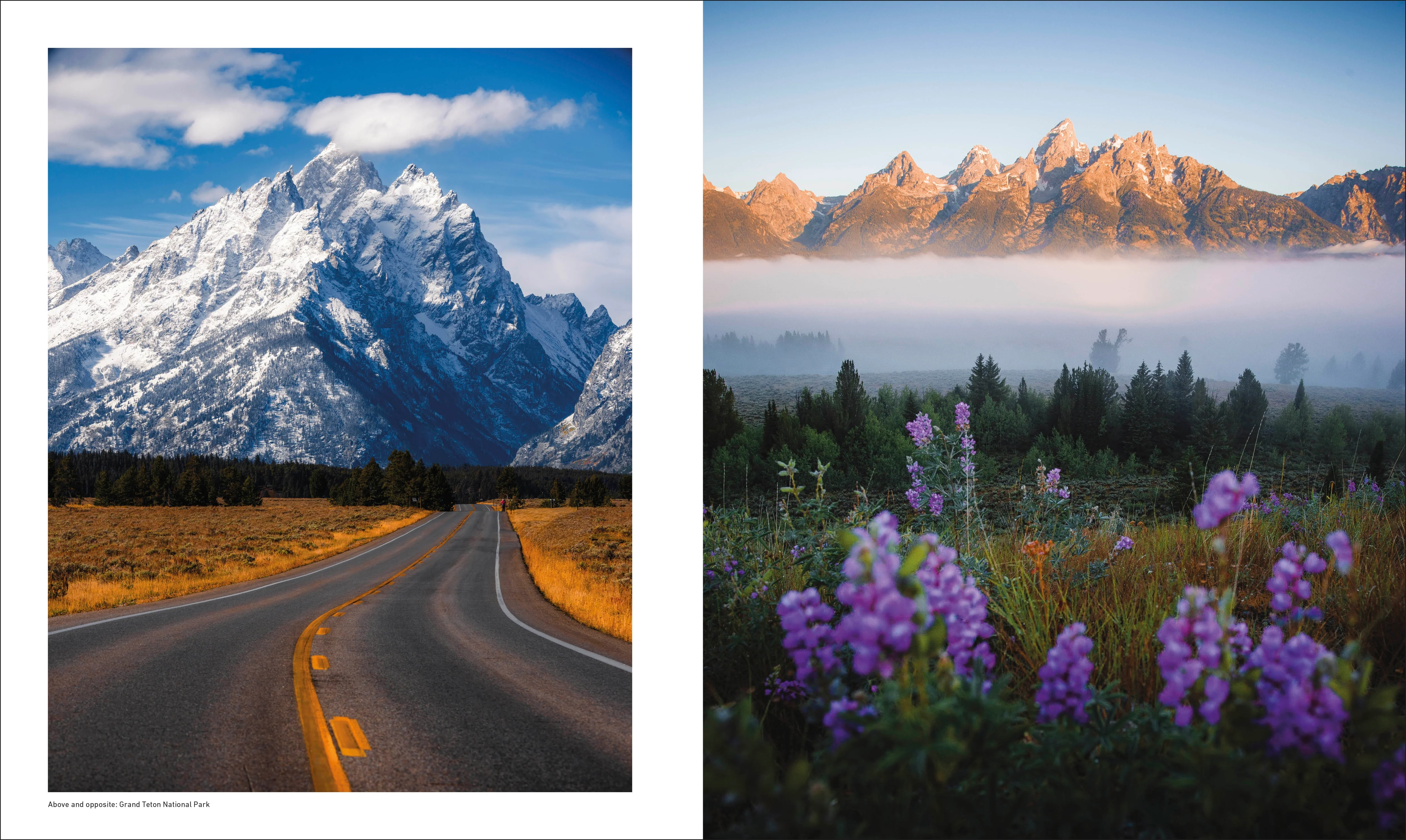 Otherworldly America - Image 5