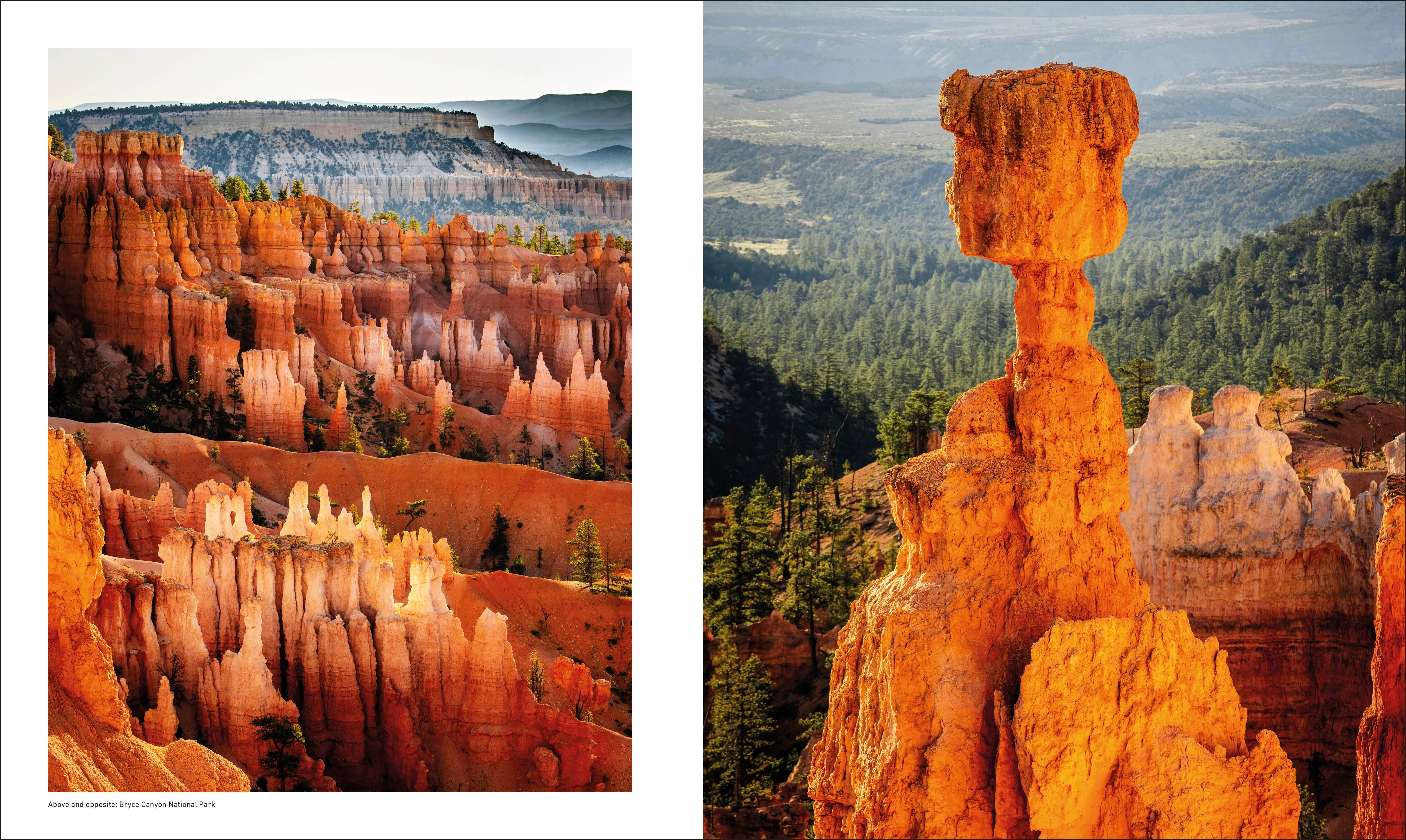Otherworldly America - Image 7