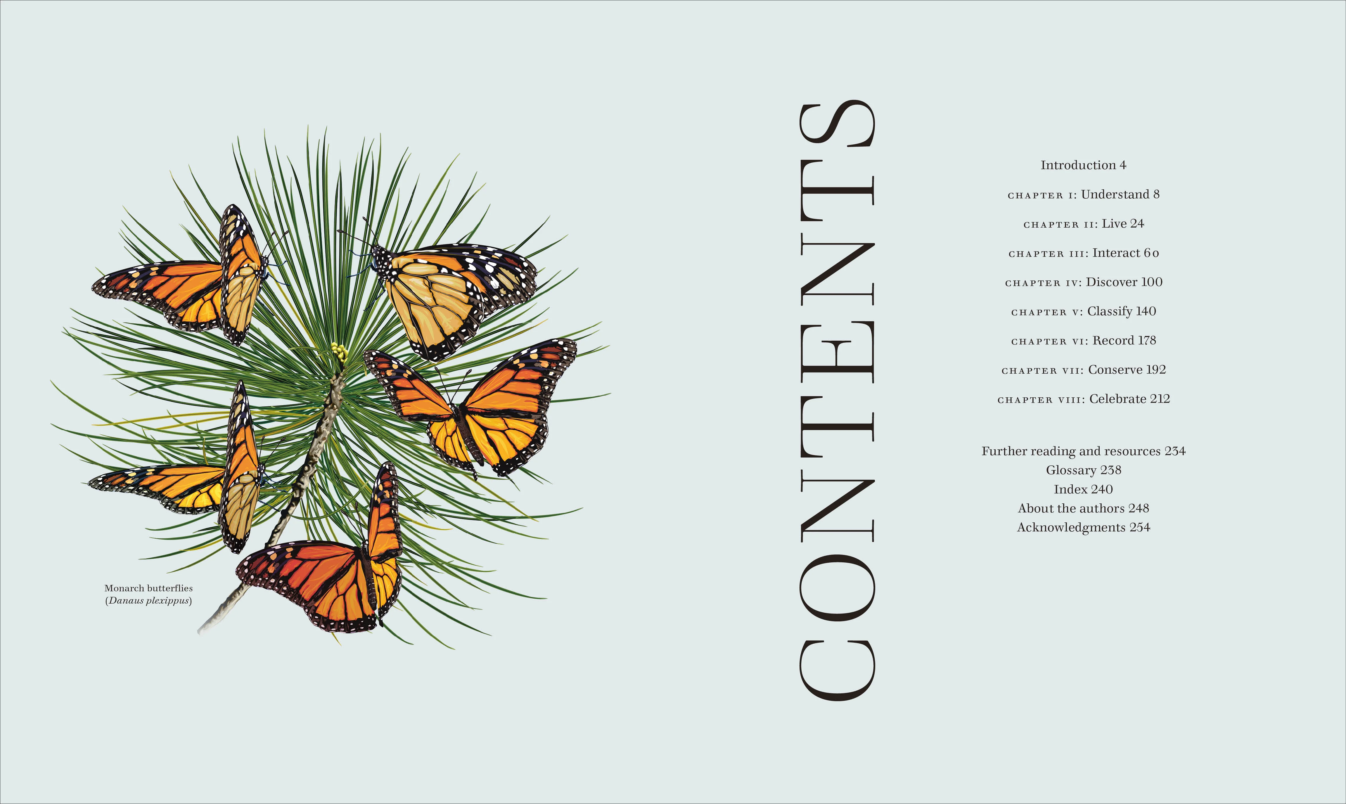 Insects - Image 2