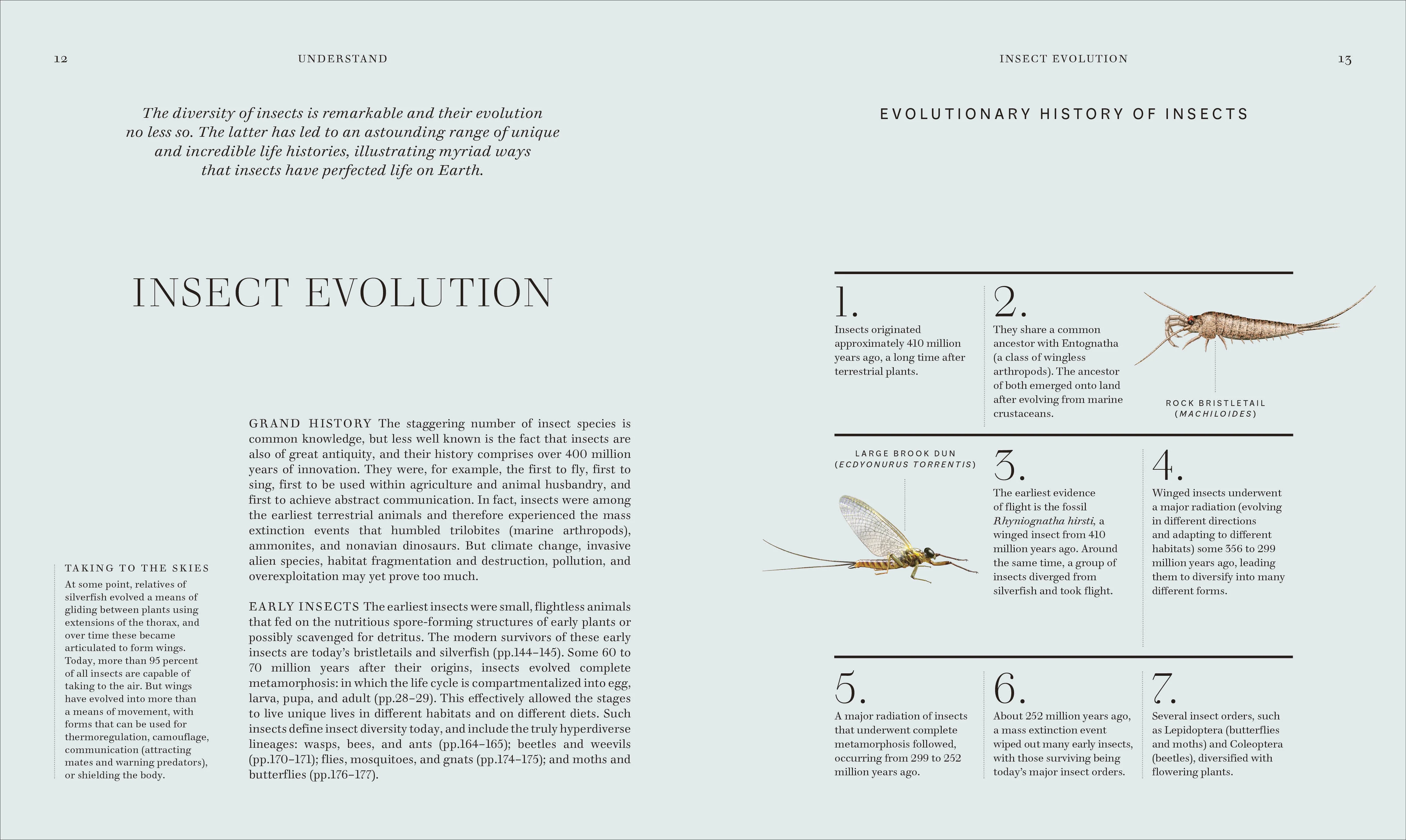 Insects - Image 3