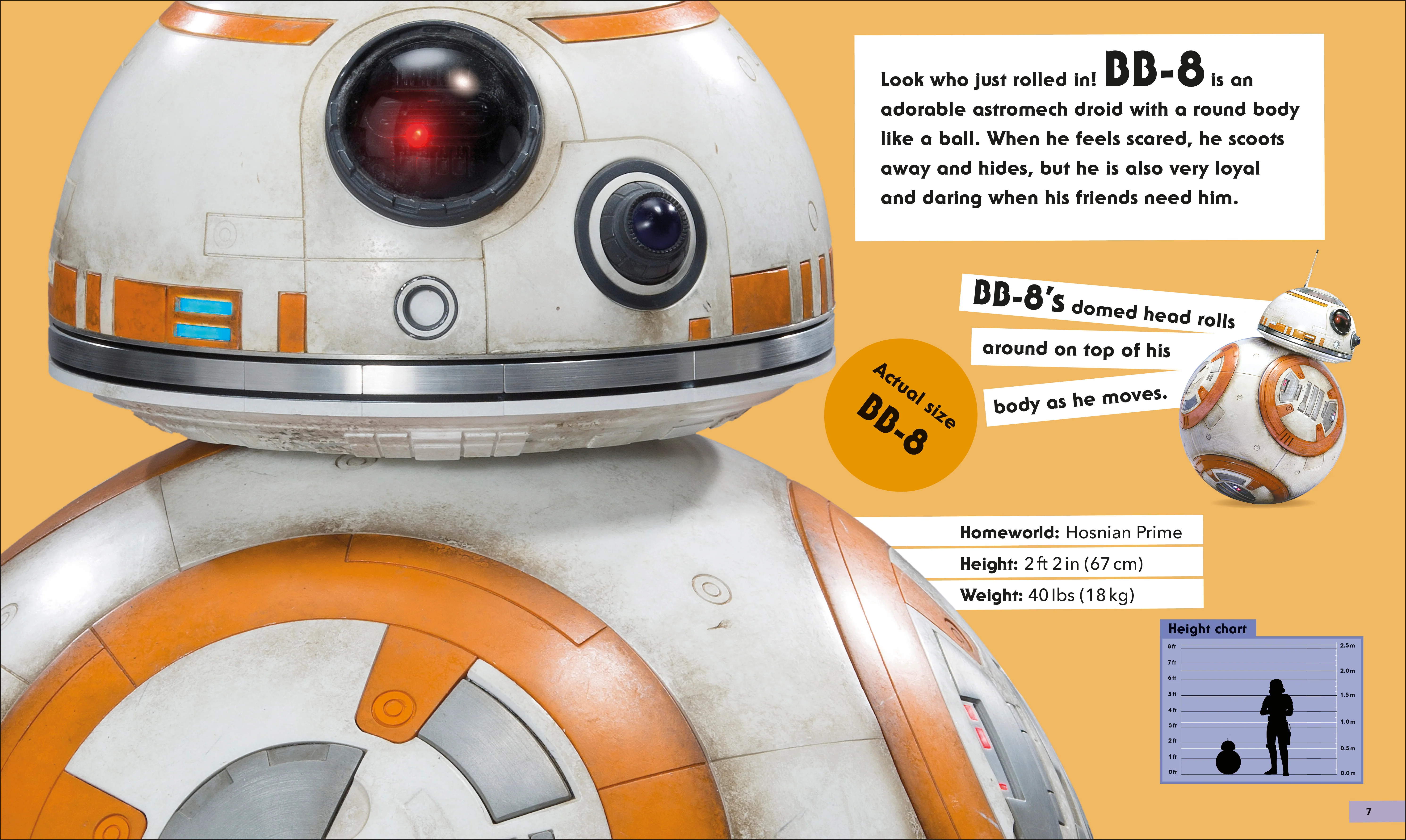 Star Wars Life Size - Image 2