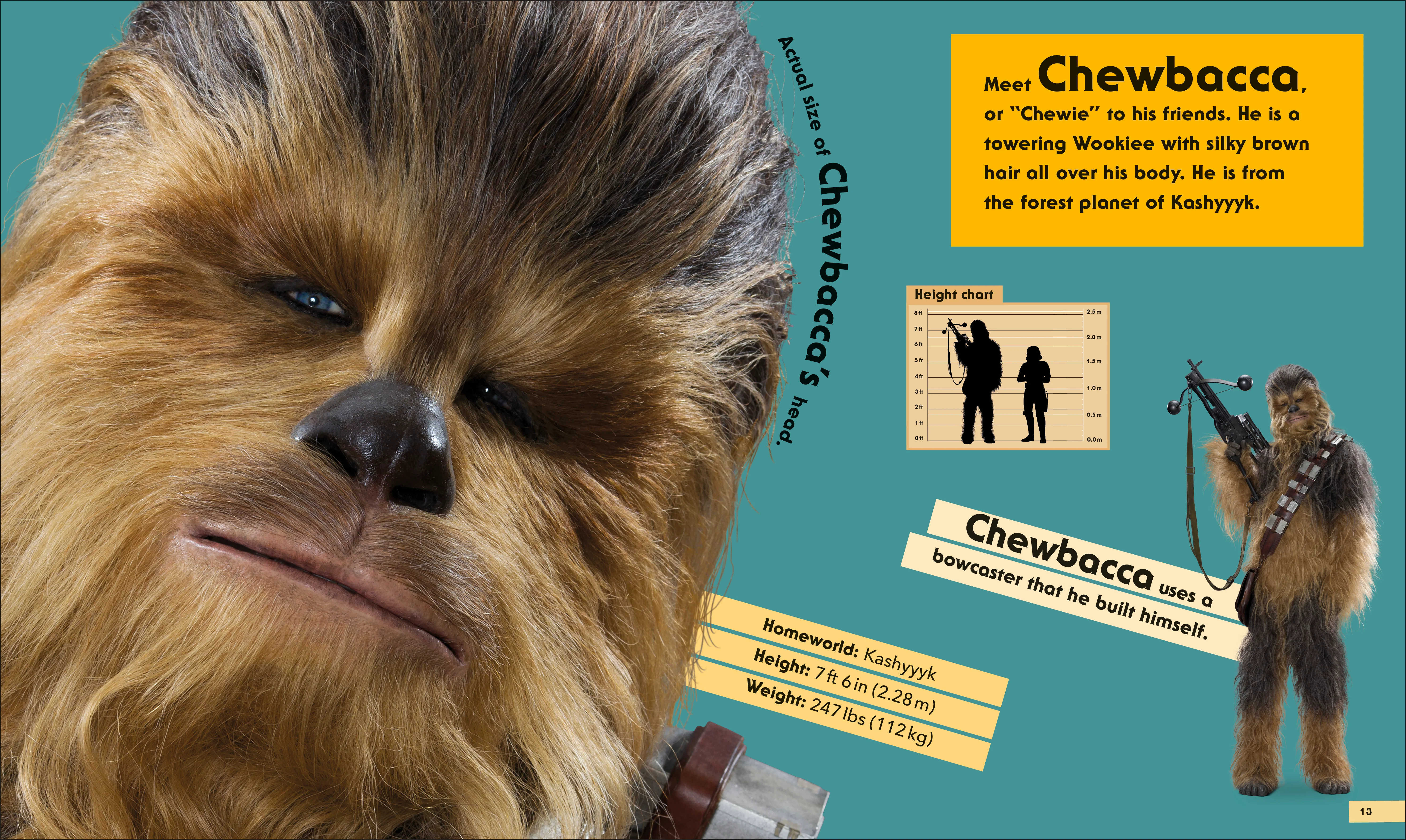 Star Wars Life Size - Image 4