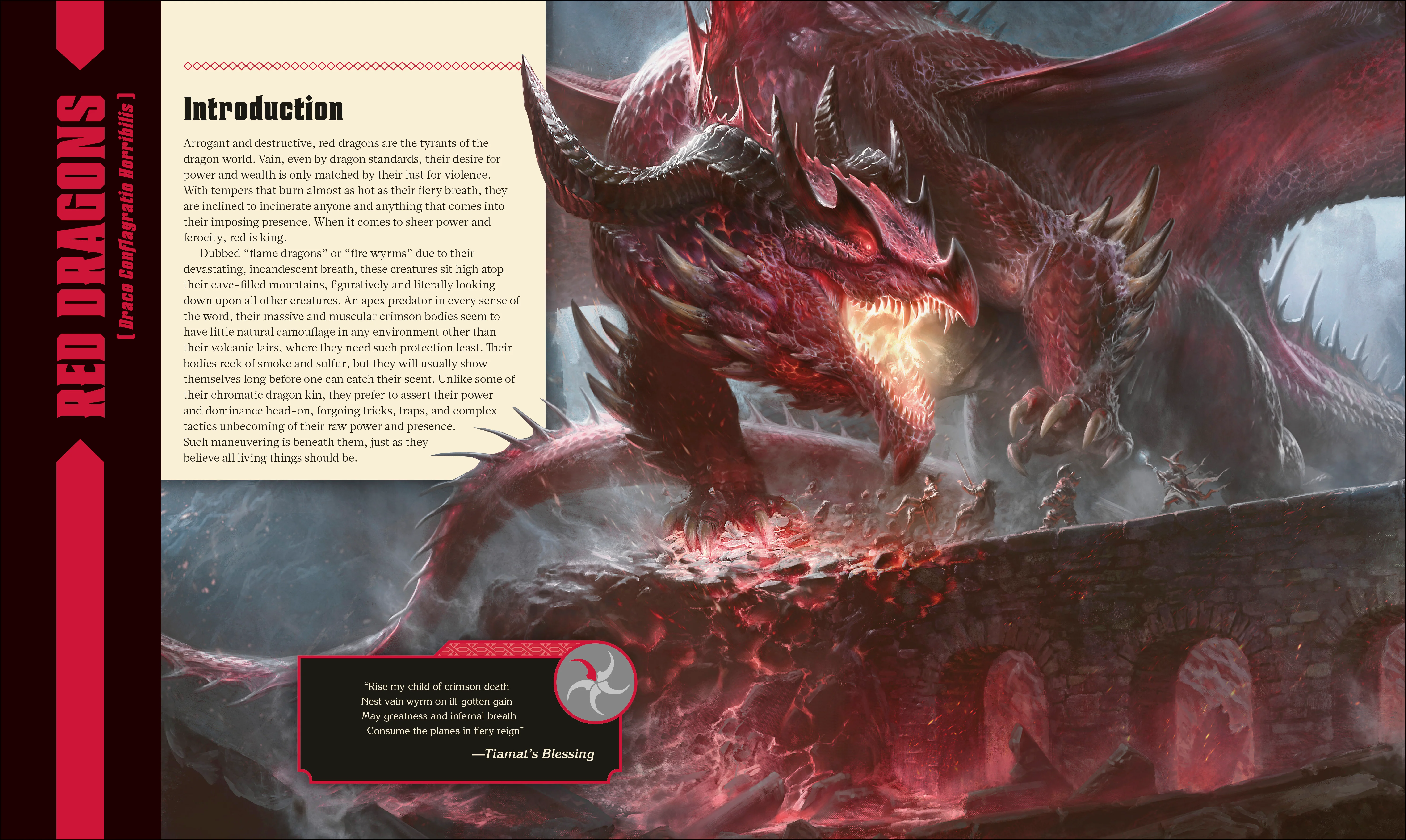 Dungeons & Dragons The Book of Dragons - Image 3