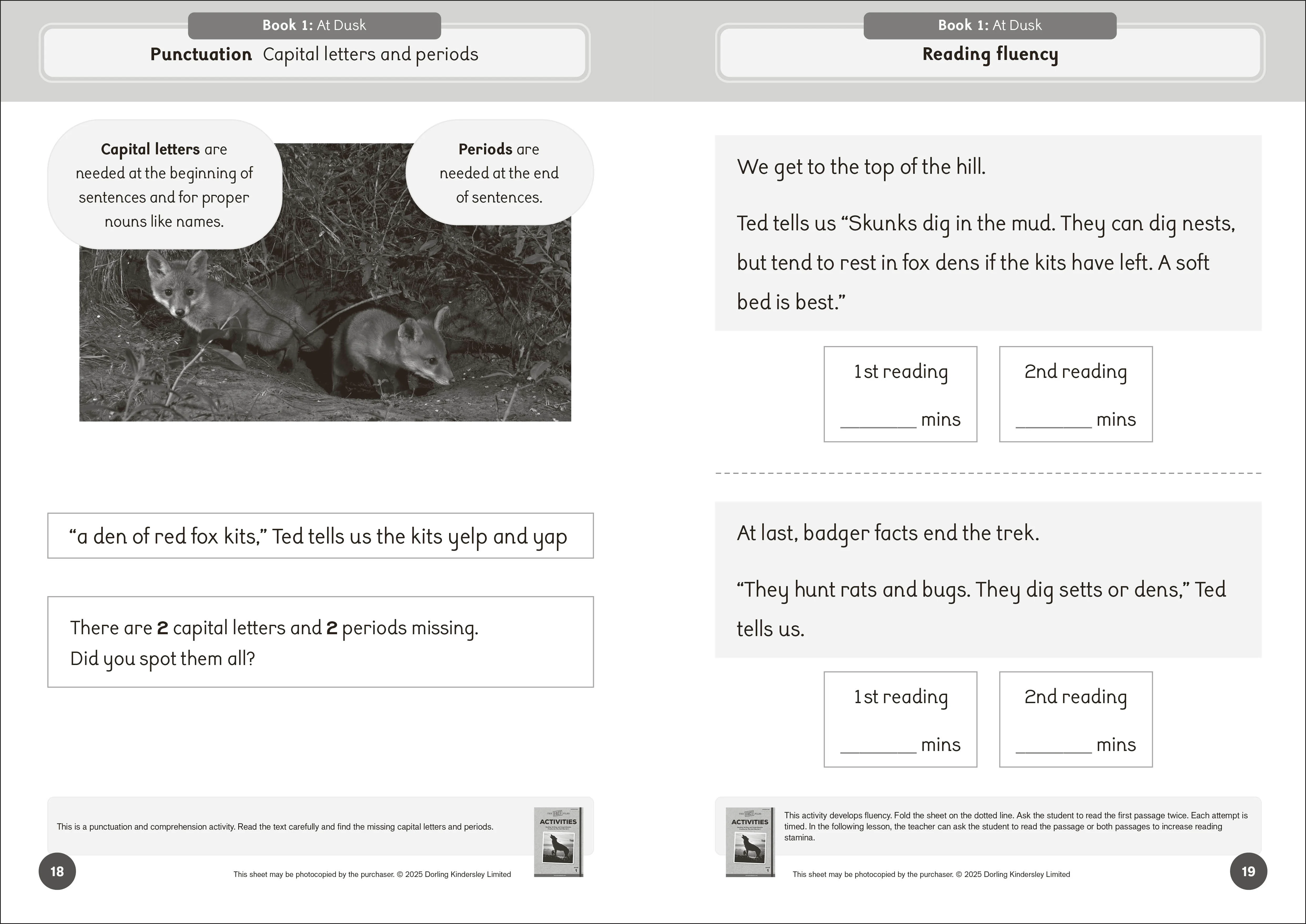 Phonic Books The Fact Files 1 Activities - Image 2