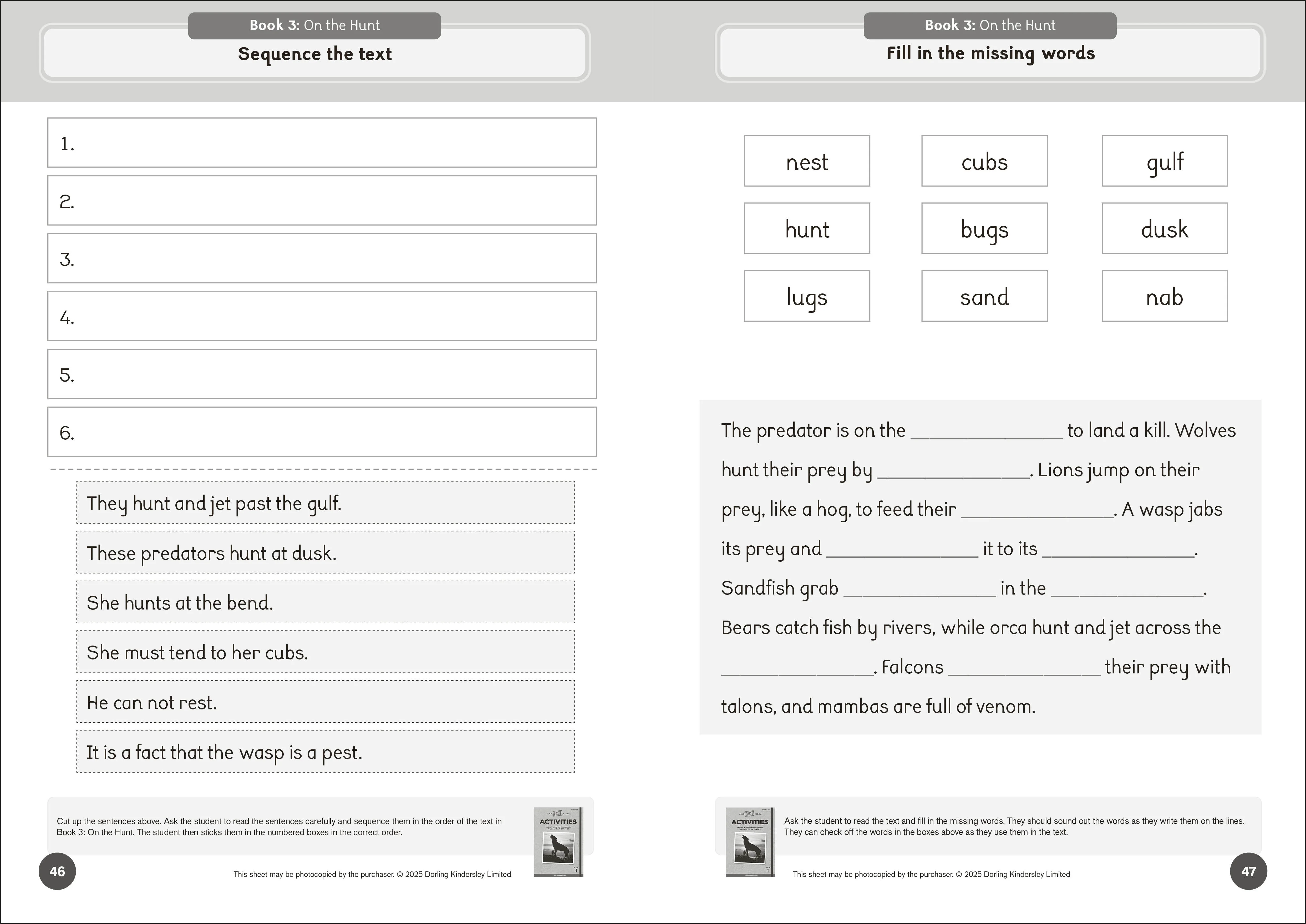 Phonic Books The Fact Files 1 Activities - Image 3