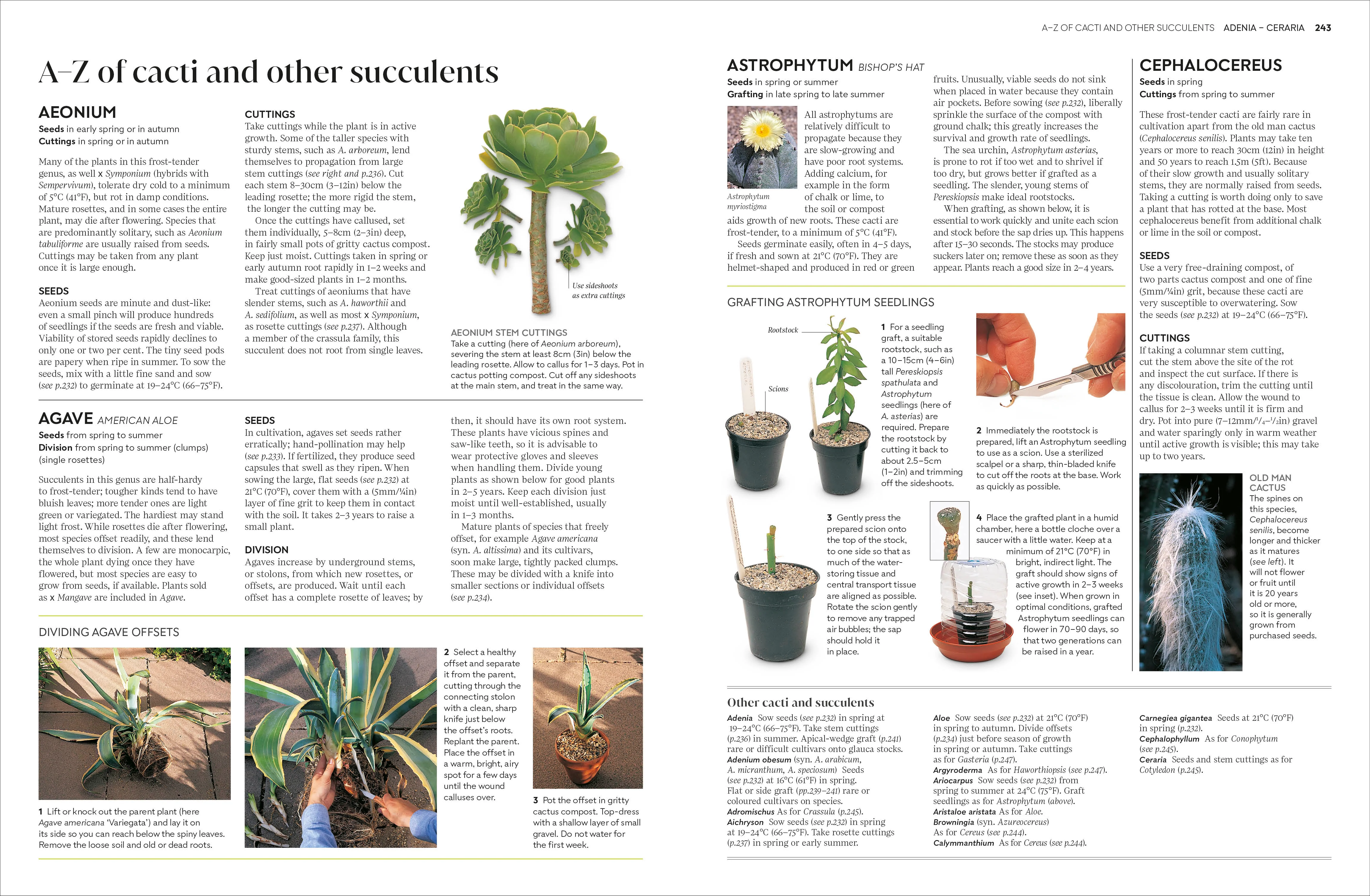 Propagating Plants - Image 4
