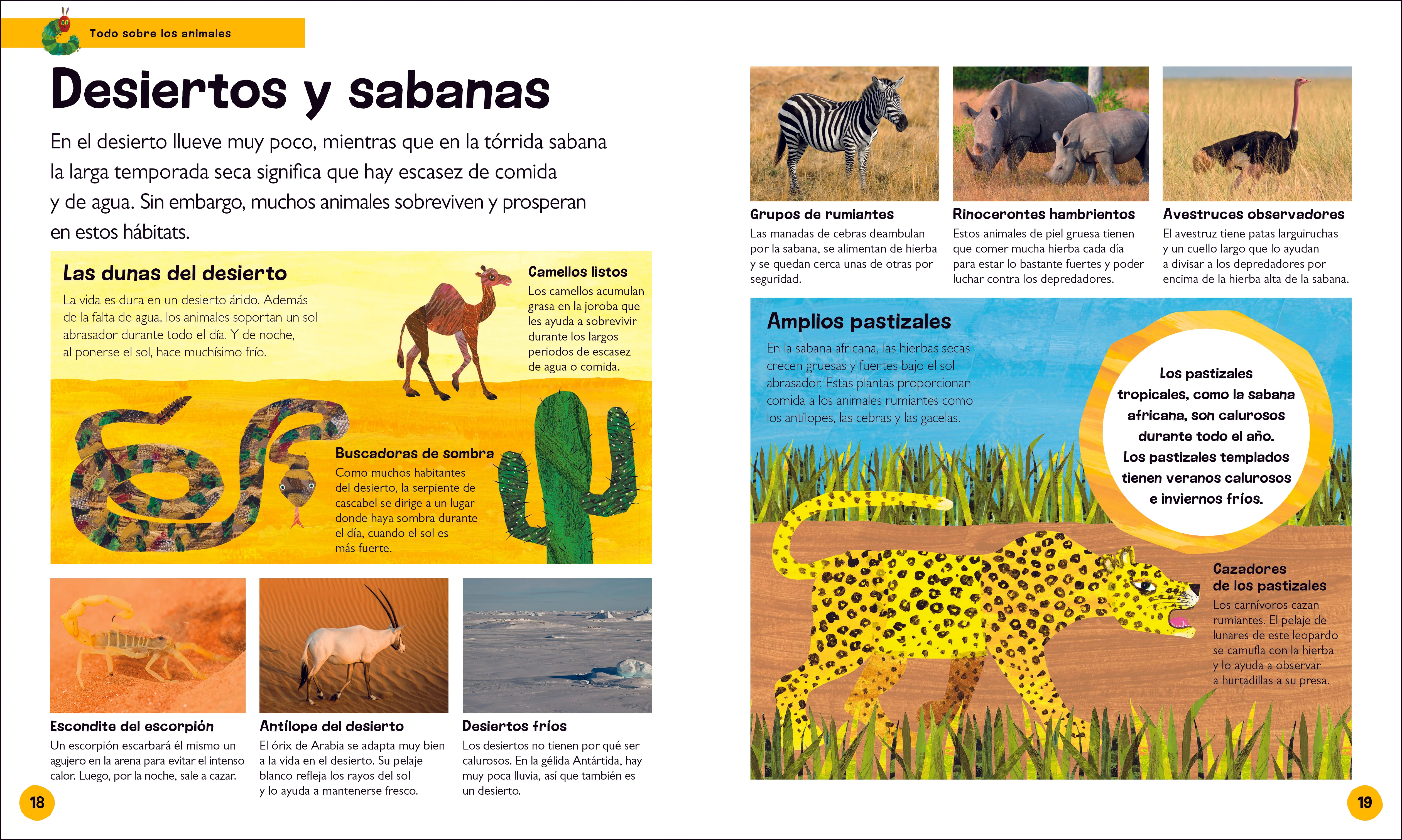La oruga muy hambrienta Mi primera enciclopedia de animales (The Very Hungry Caterpillar's Very First Animal Encyclopedia) - Image 2