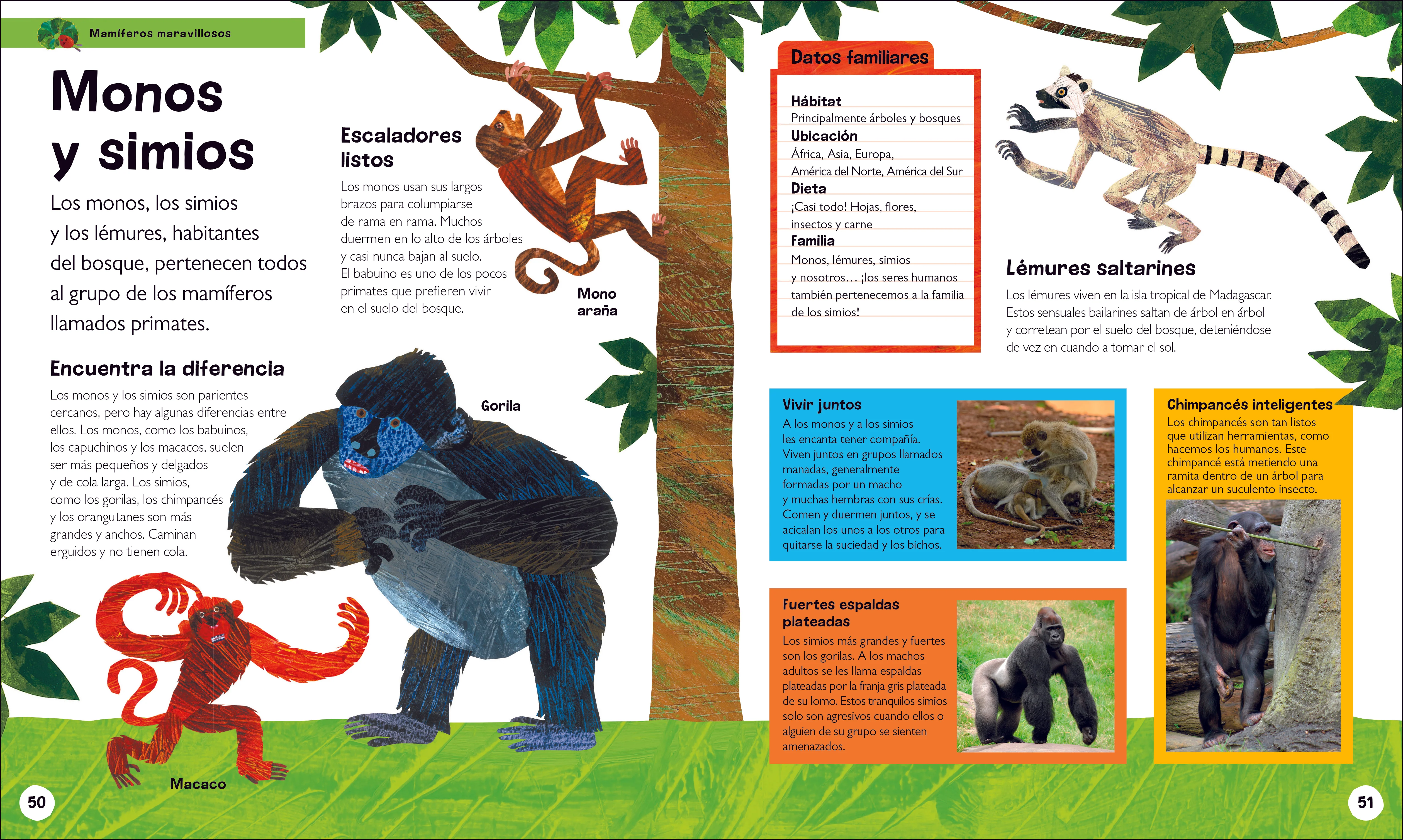 La oruga muy hambrienta Mi primera enciclopedia de animales (The Very Hungry Caterpillar's Very First Animal Encyclopedia) - Image 3