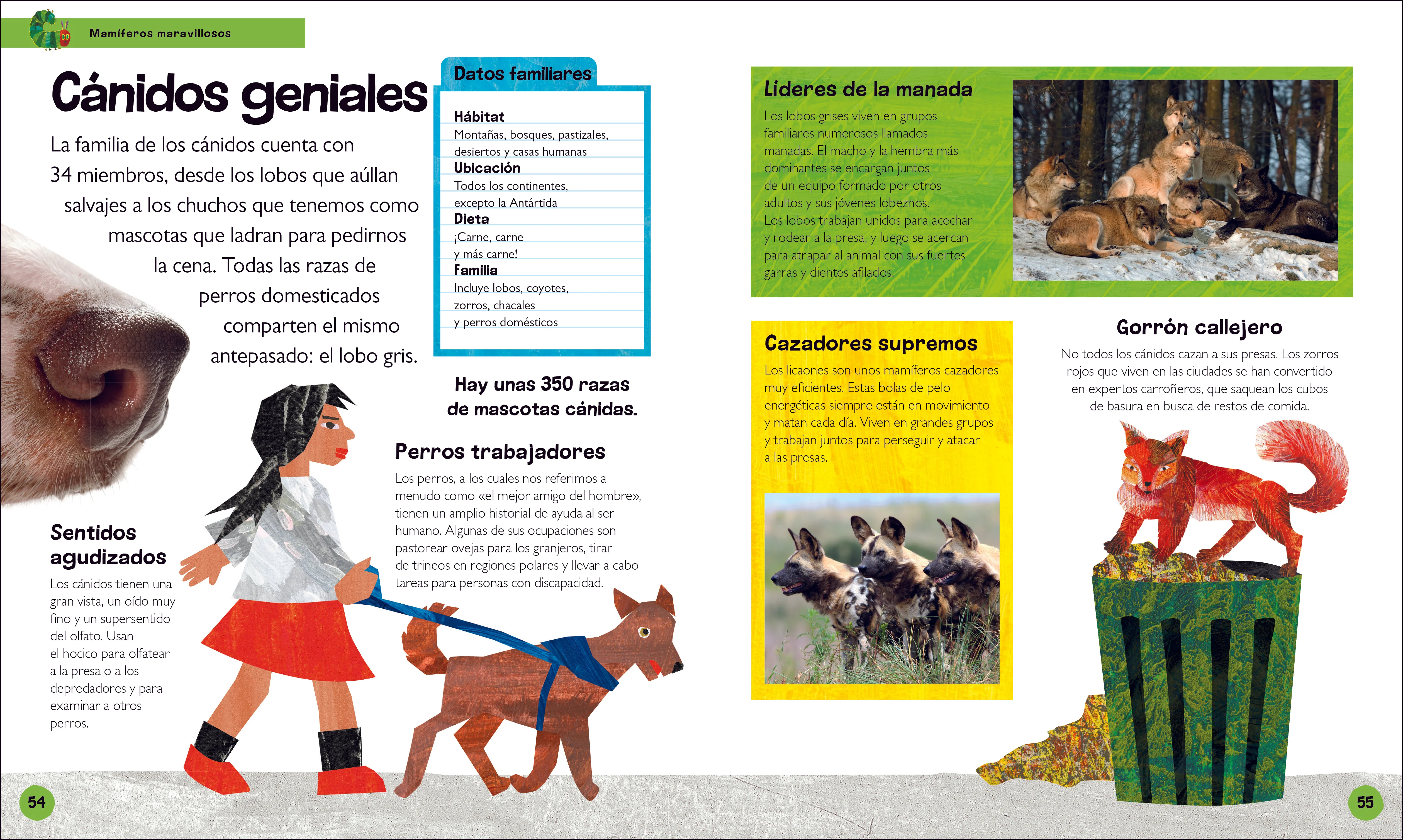 La oruga muy hambrienta Mi primera enciclopedia de animales (The Very Hungry Caterpillar's Very First Animal Encyclopedia) - Image 4