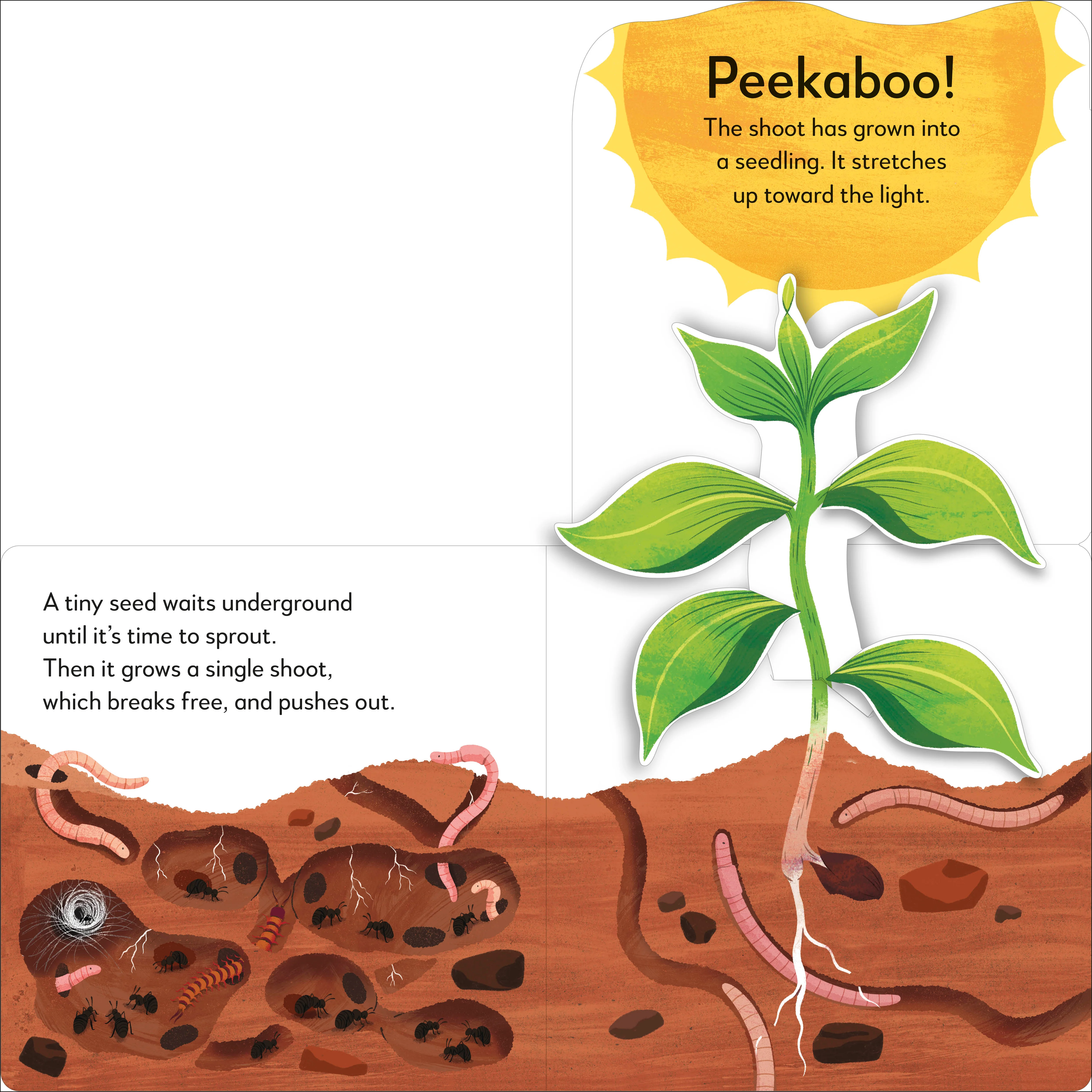 Pop-Up Peekaboo! Tree - Image 2