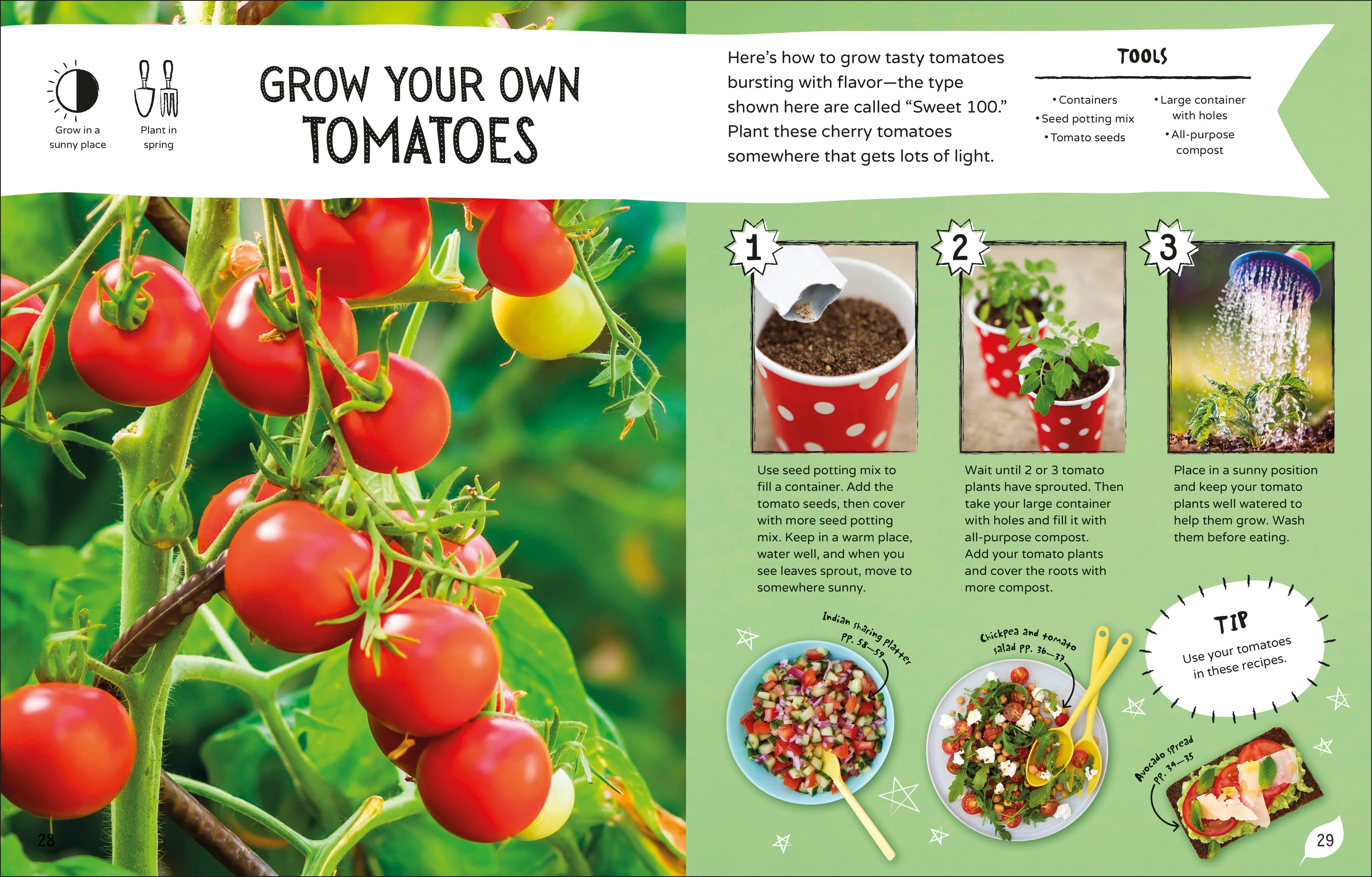 The No-Cook Cookbook - Image 2