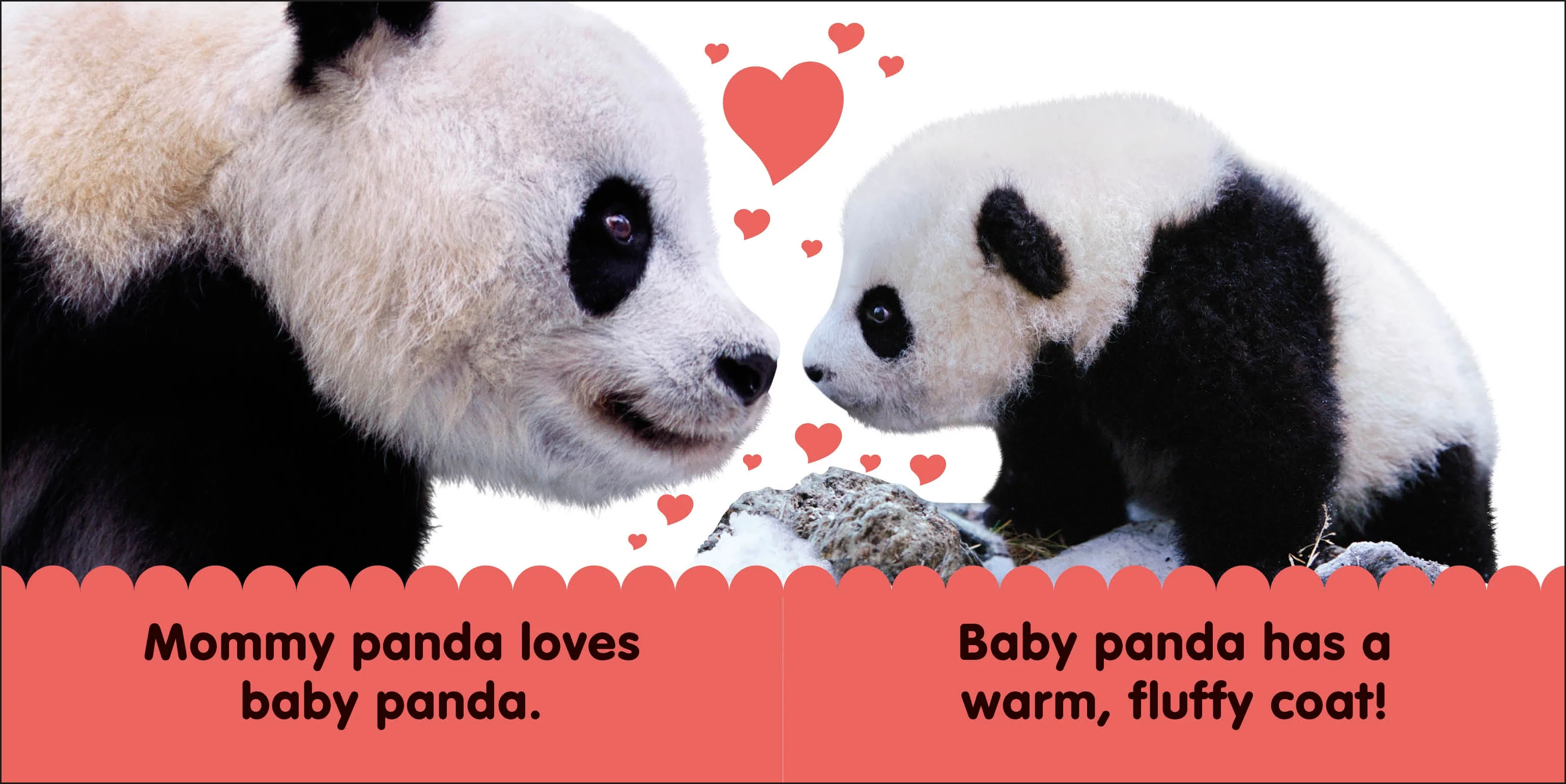 Baby Touch and Feel Panda - Image 2