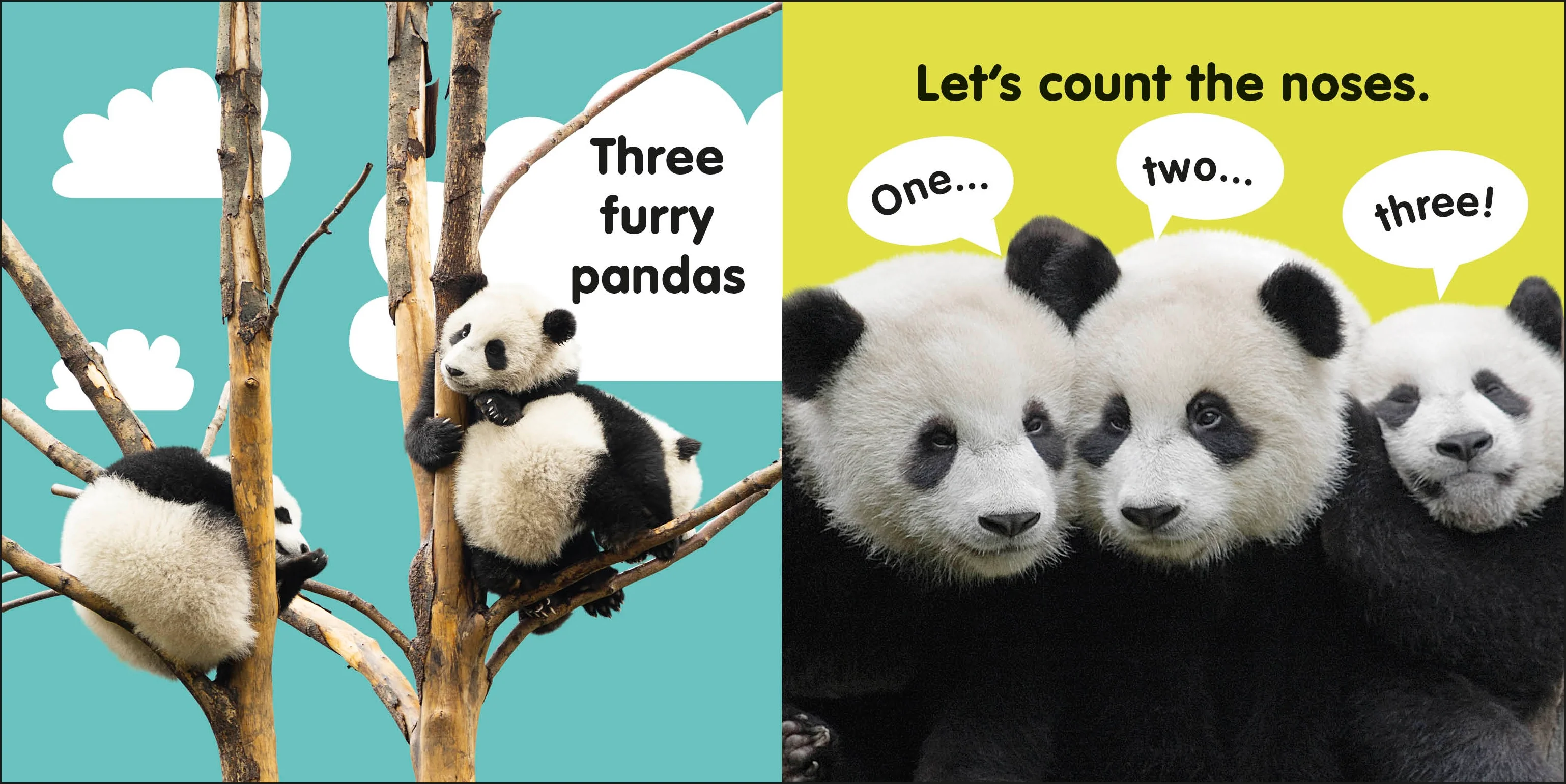 Baby Touch and Feel Panda - Image 3