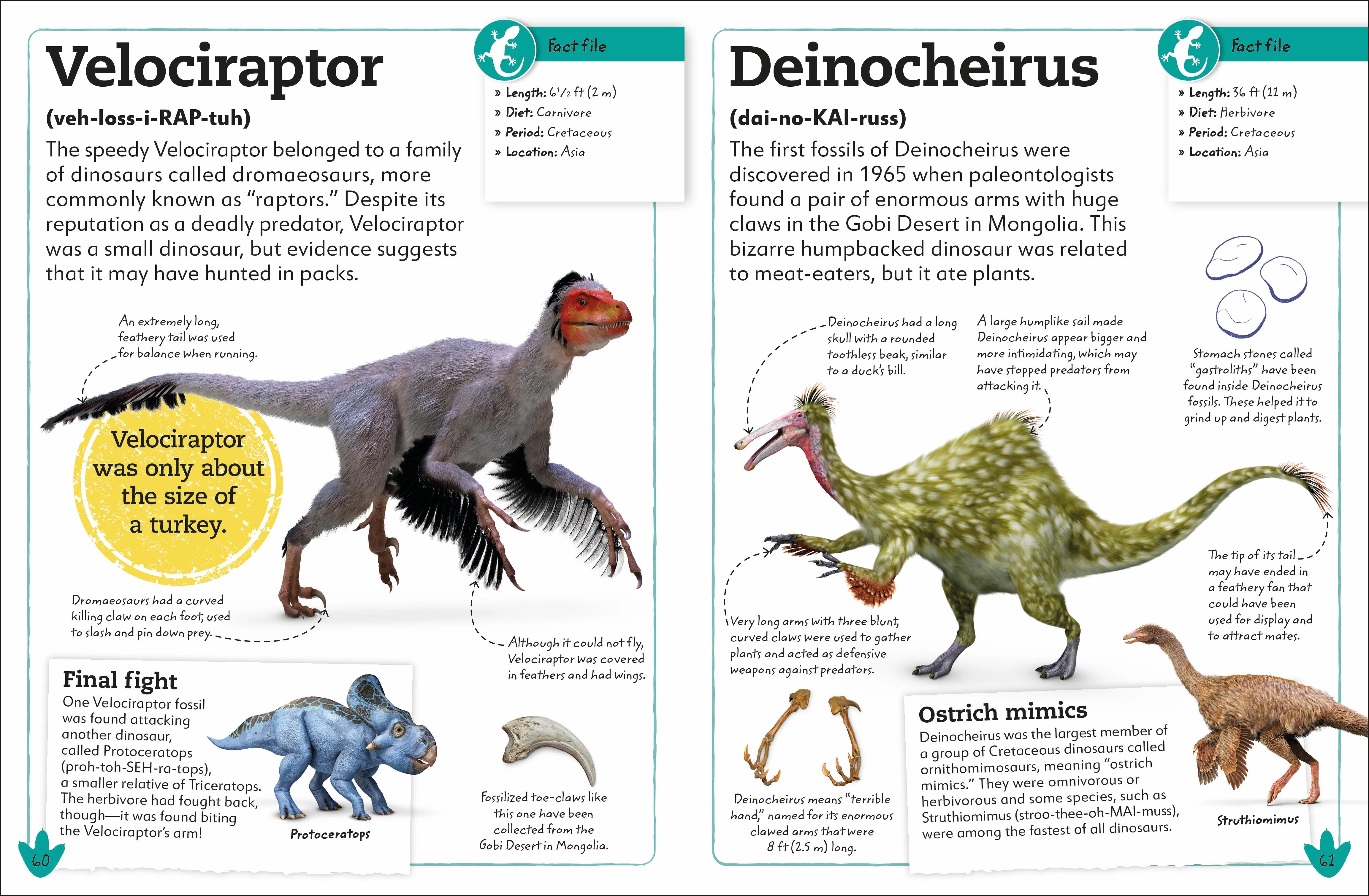 My Book of Dinosaurs and Prehistoric Life - Image 2