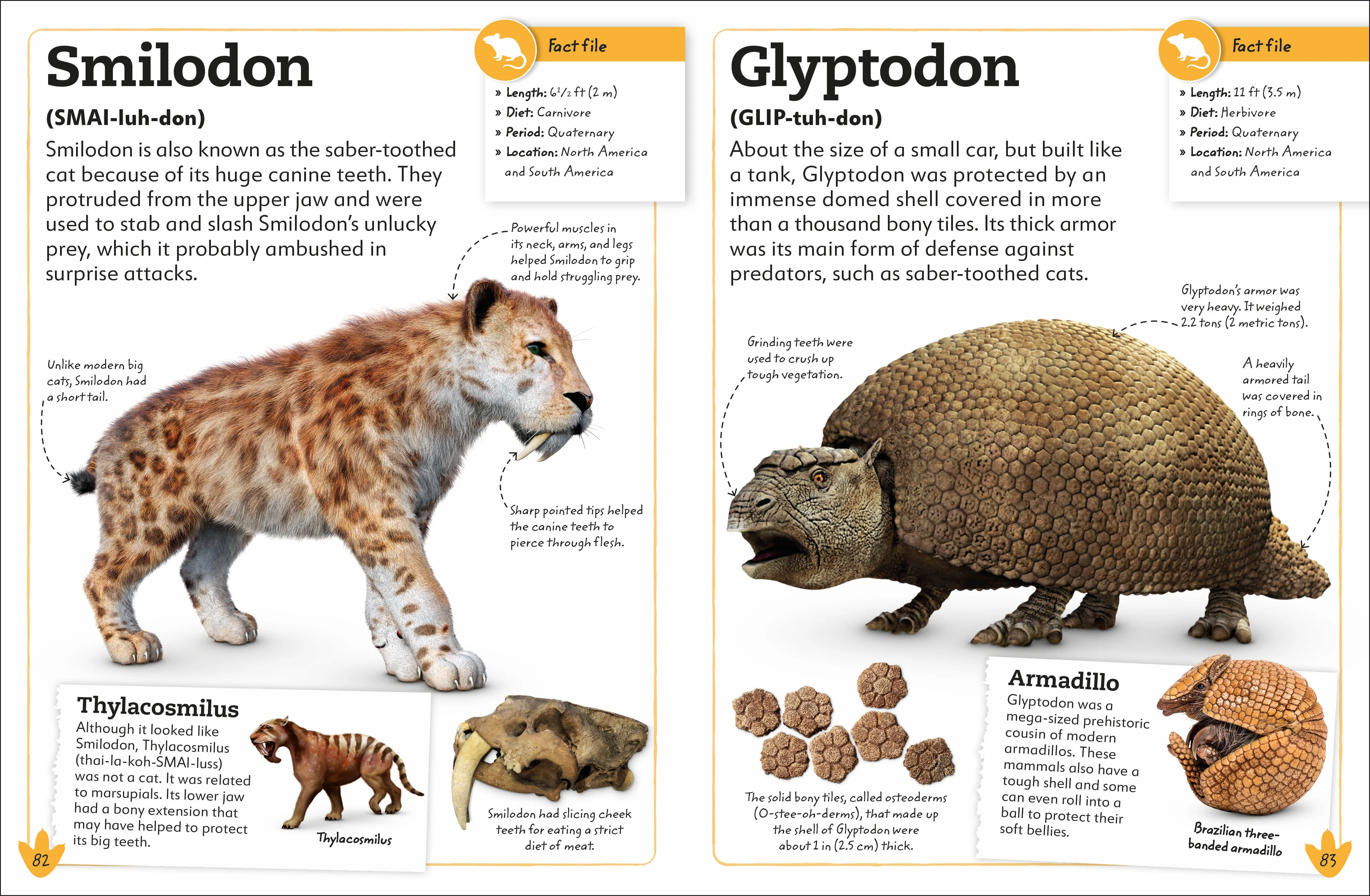 My Book of Dinosaurs and Prehistoric Life - Image 5