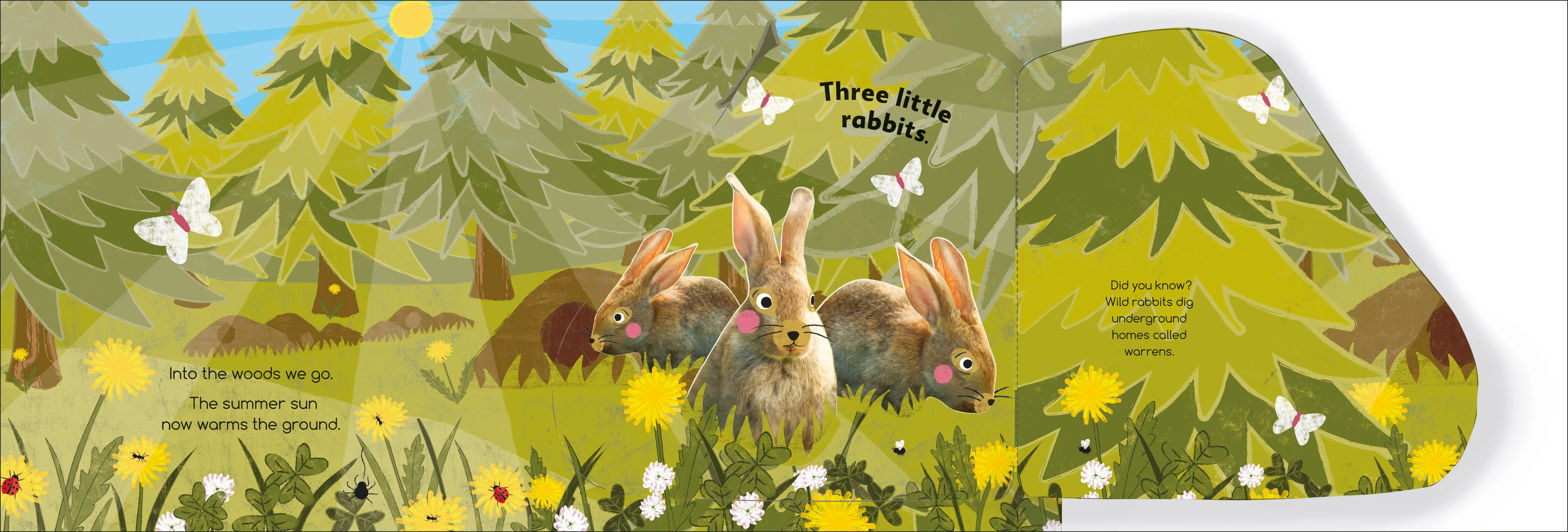 Flip Flap Find! Into The Woods - Image 3