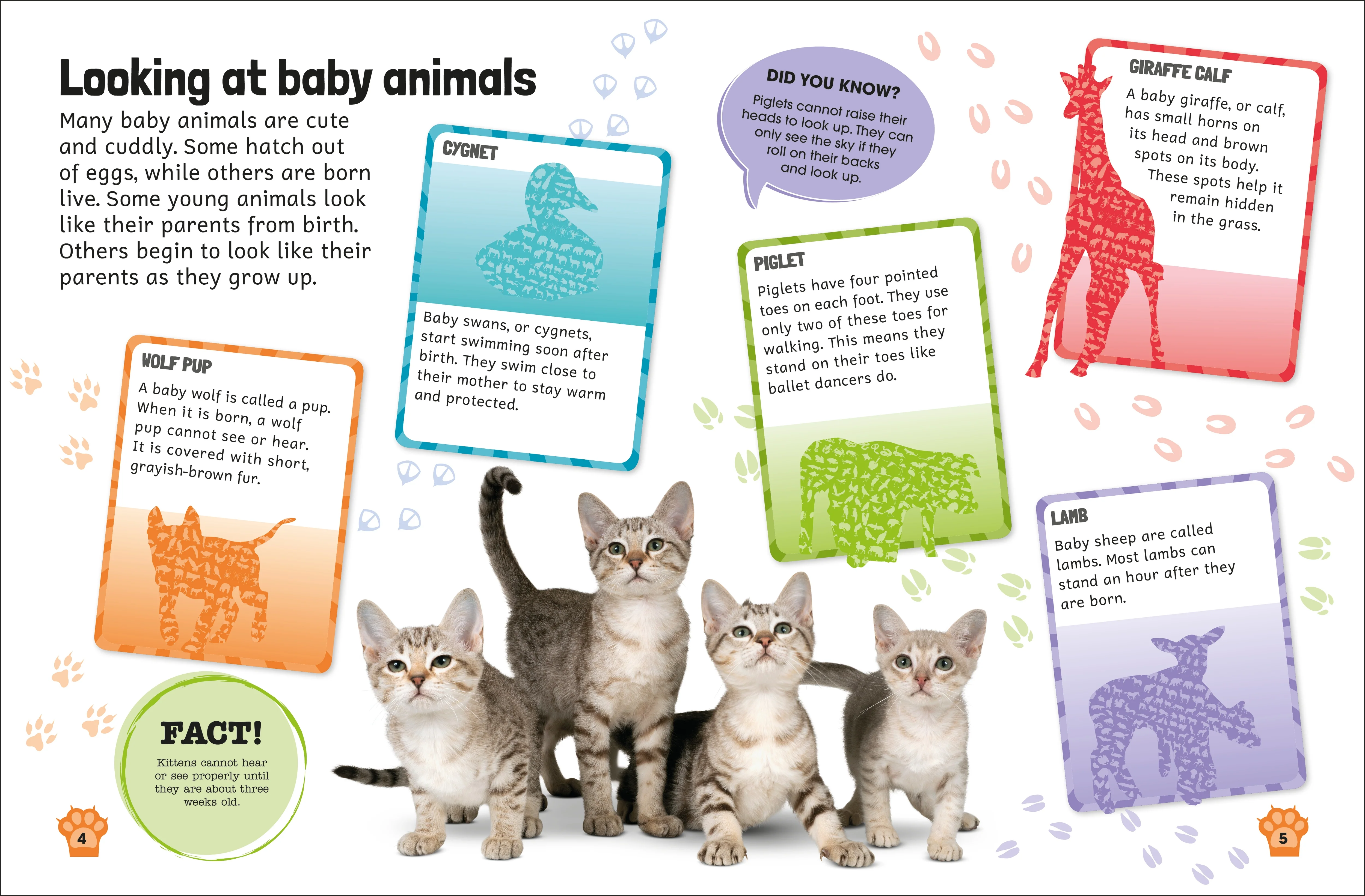 Sticker Encyclopedia Baby Animals - Image 2