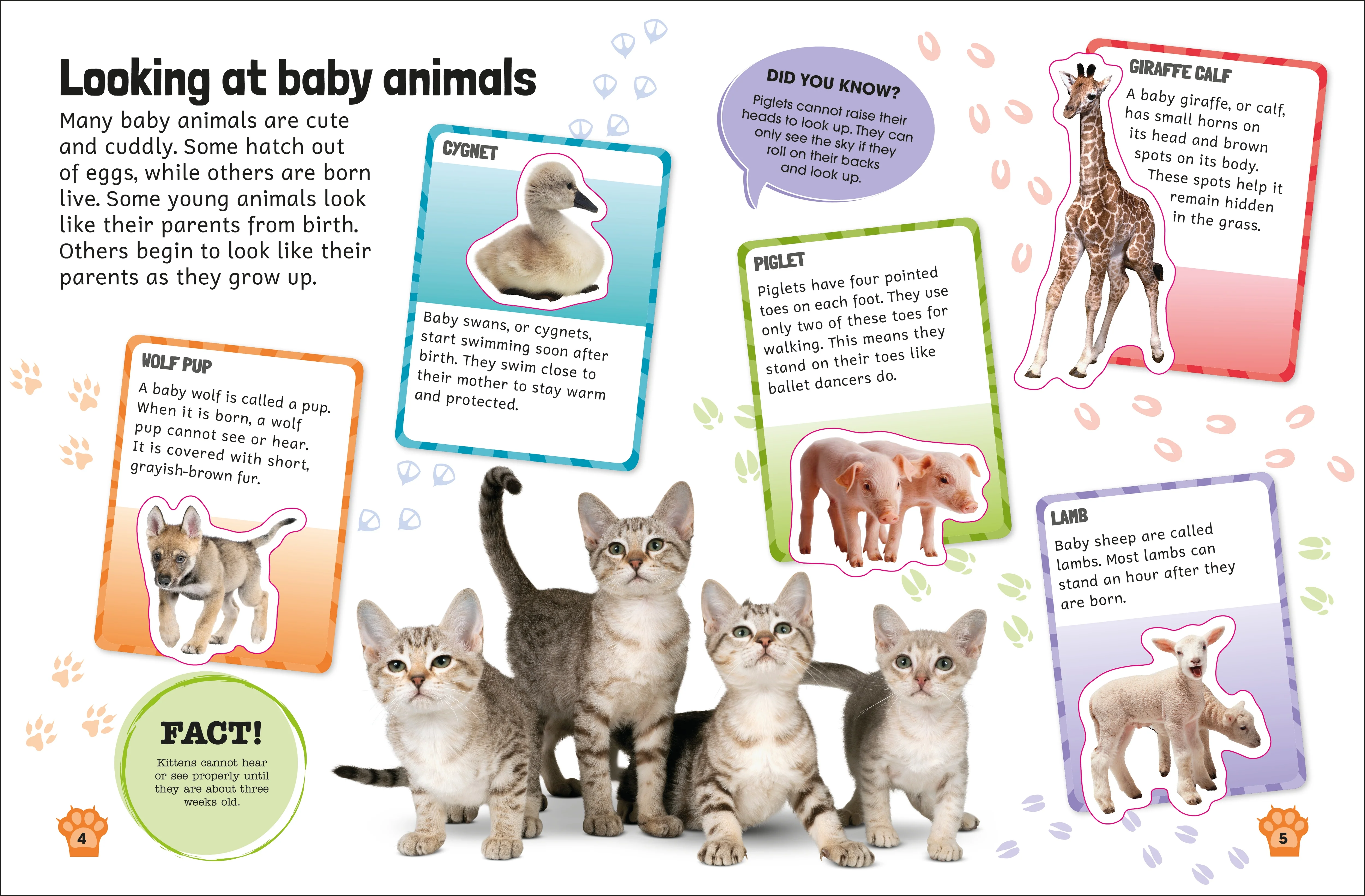 Sticker Encyclopedia Baby Animals - Image 3
