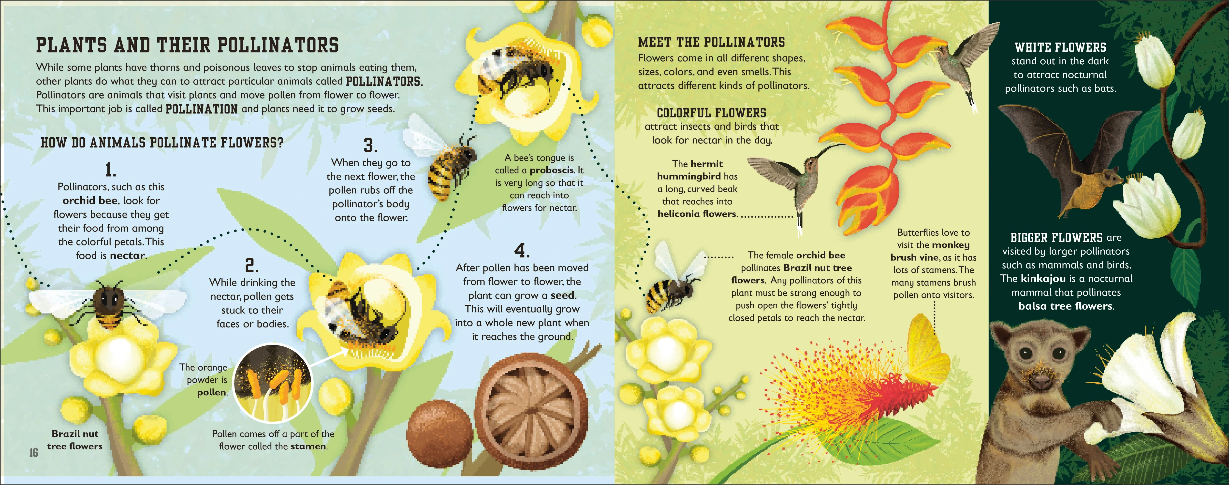 The Rainforest Book - Image 2