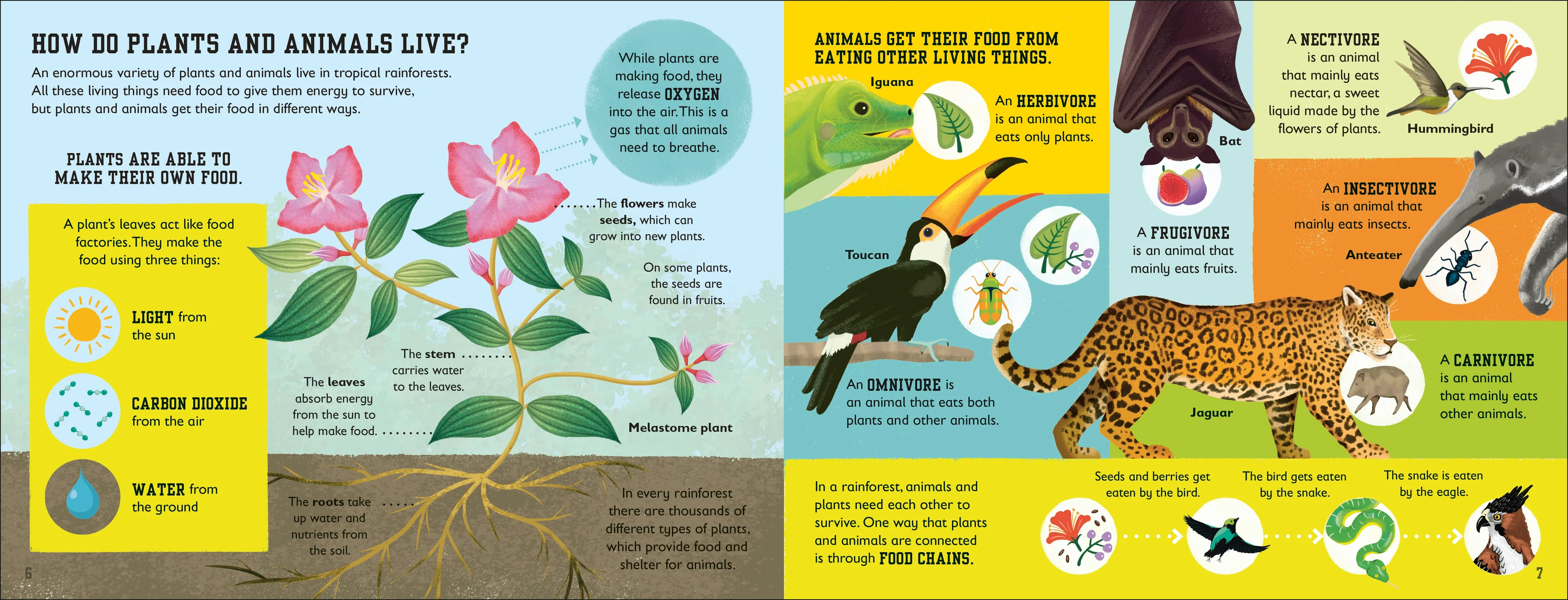 The Rainforest Book - Image 3