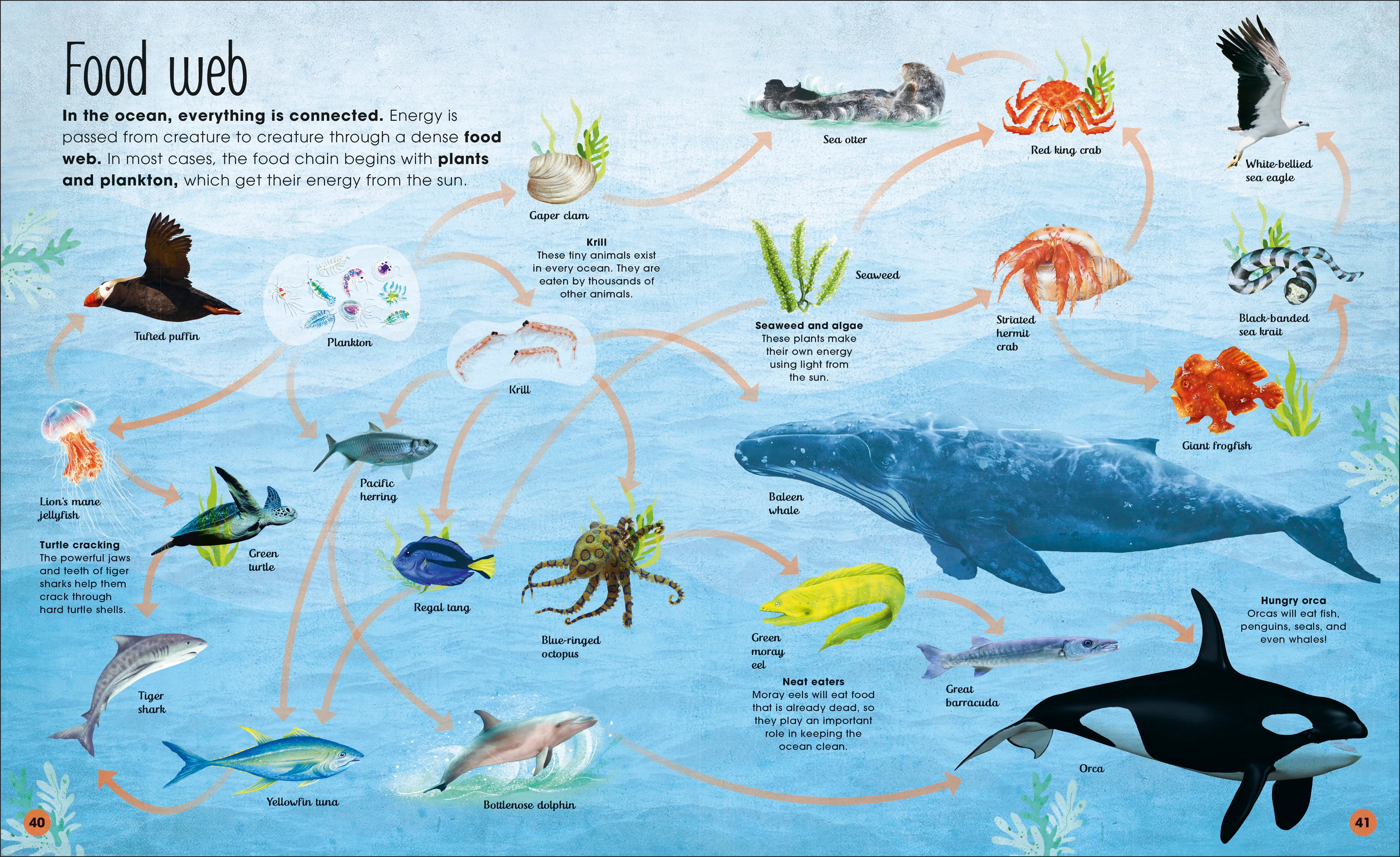Earth's Incredible Oceans - Image 3