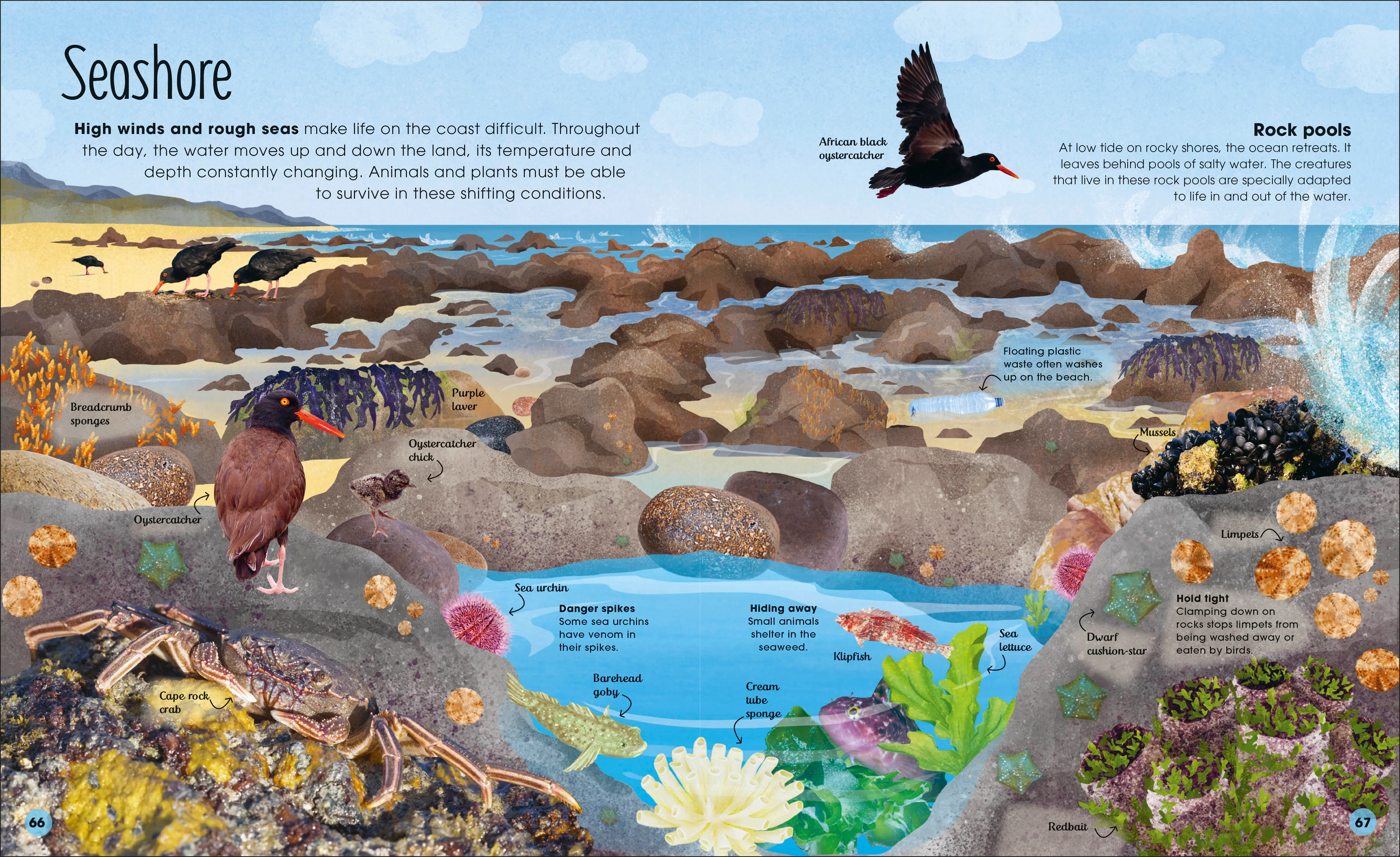 Earth's Incredible Oceans - Image 4