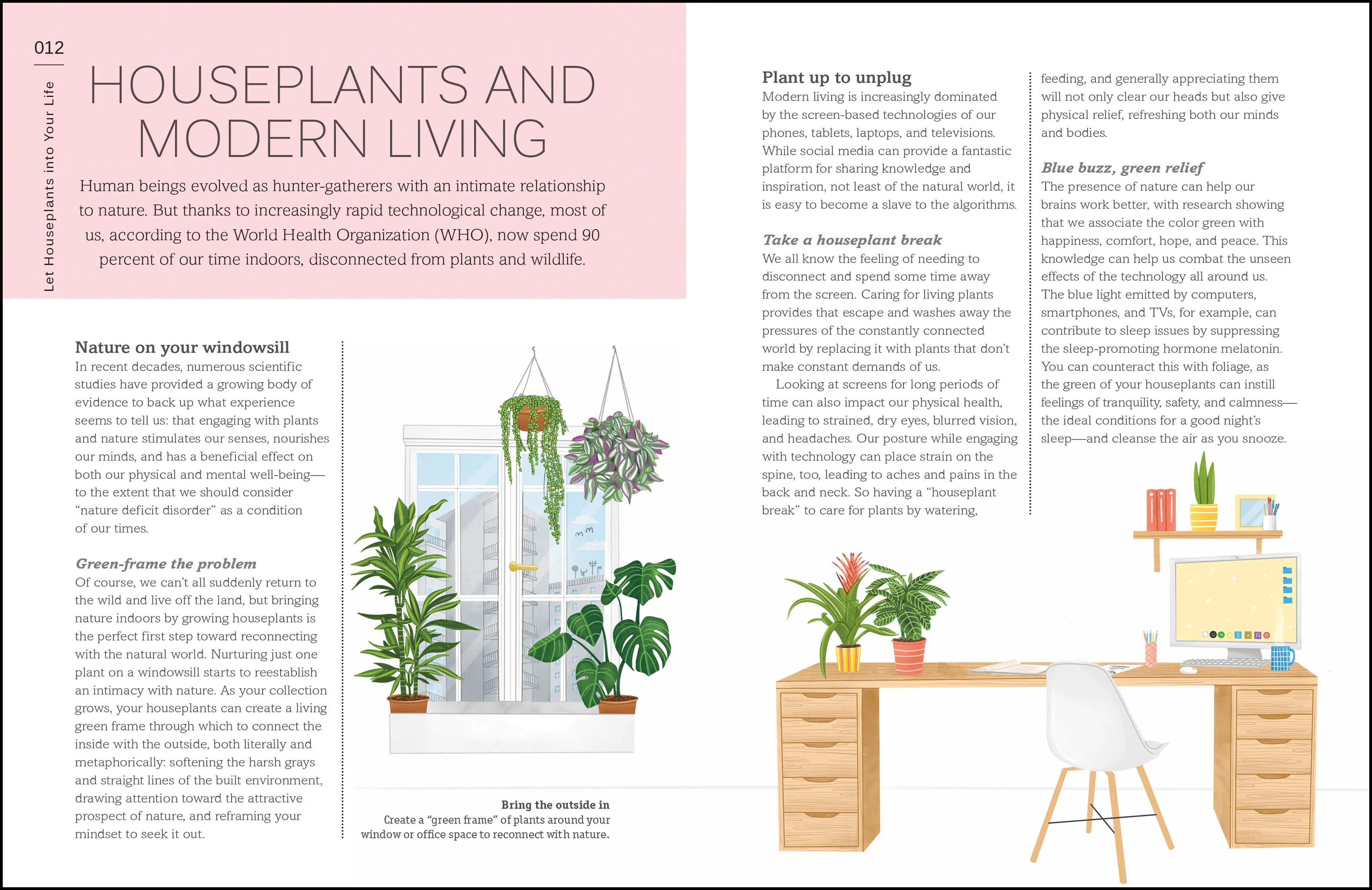 My Houseplant Changed My Life - Image 2