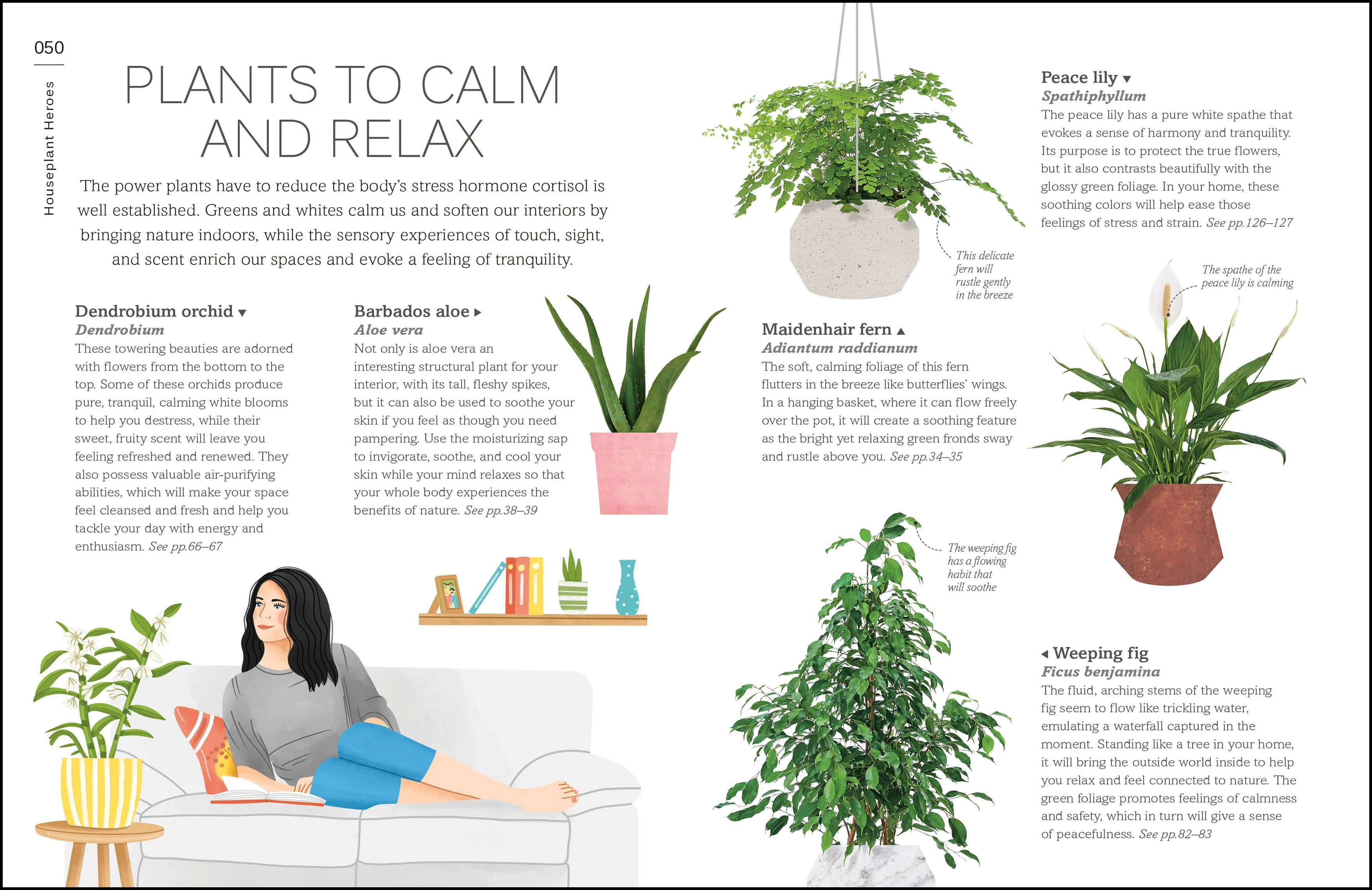 My Houseplant Changed My Life - Image 3