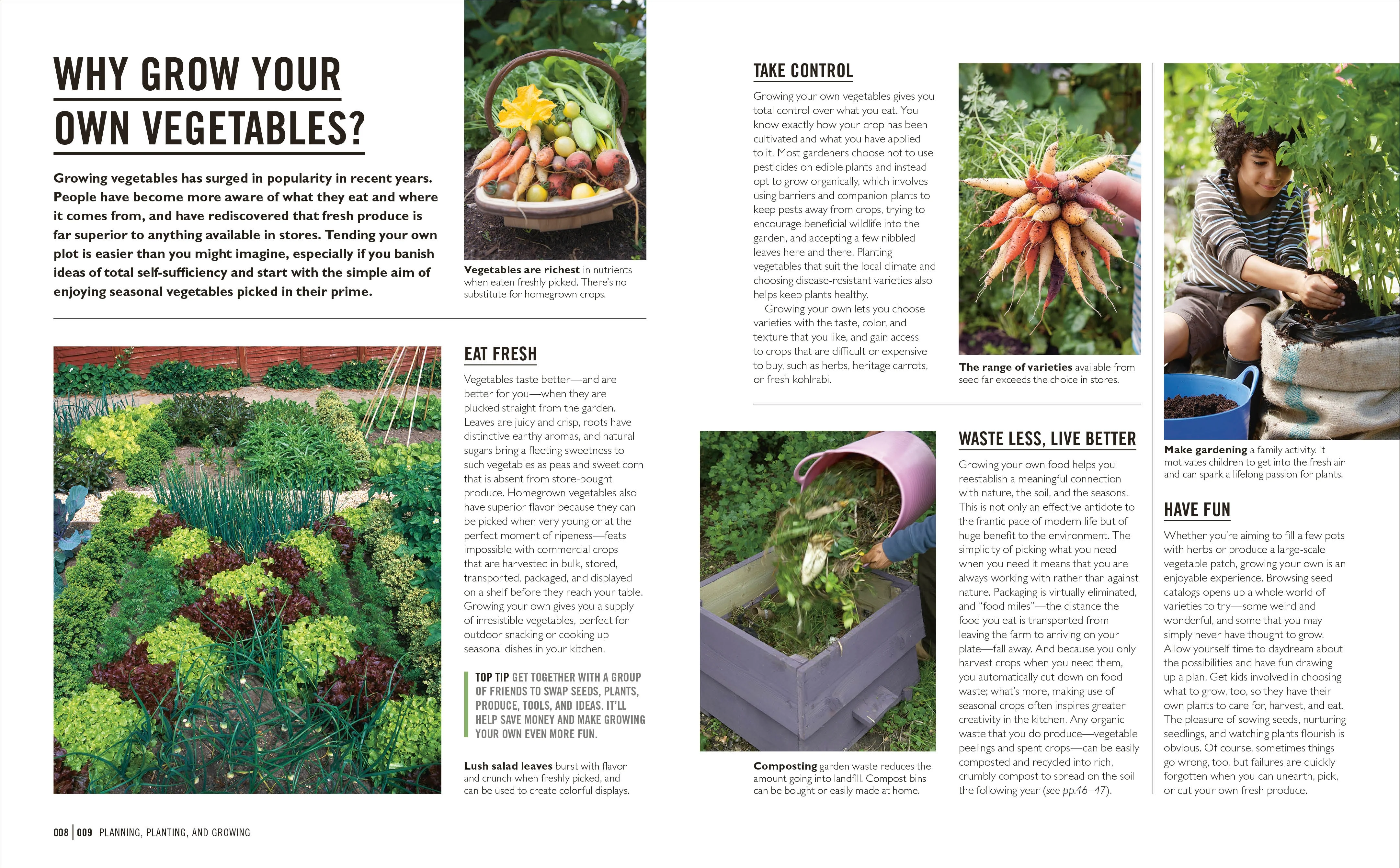 Grow Easy Vegetables - Image 2