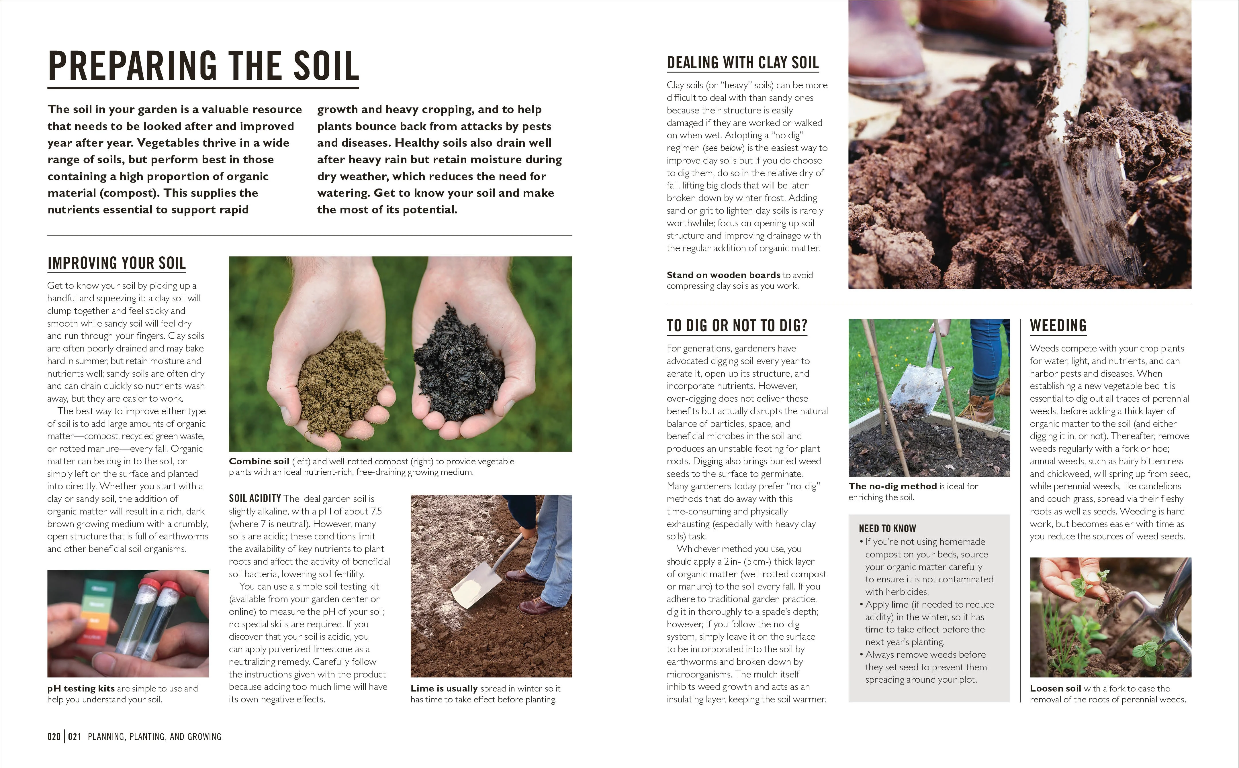Grow Easy Vegetables - Image 3