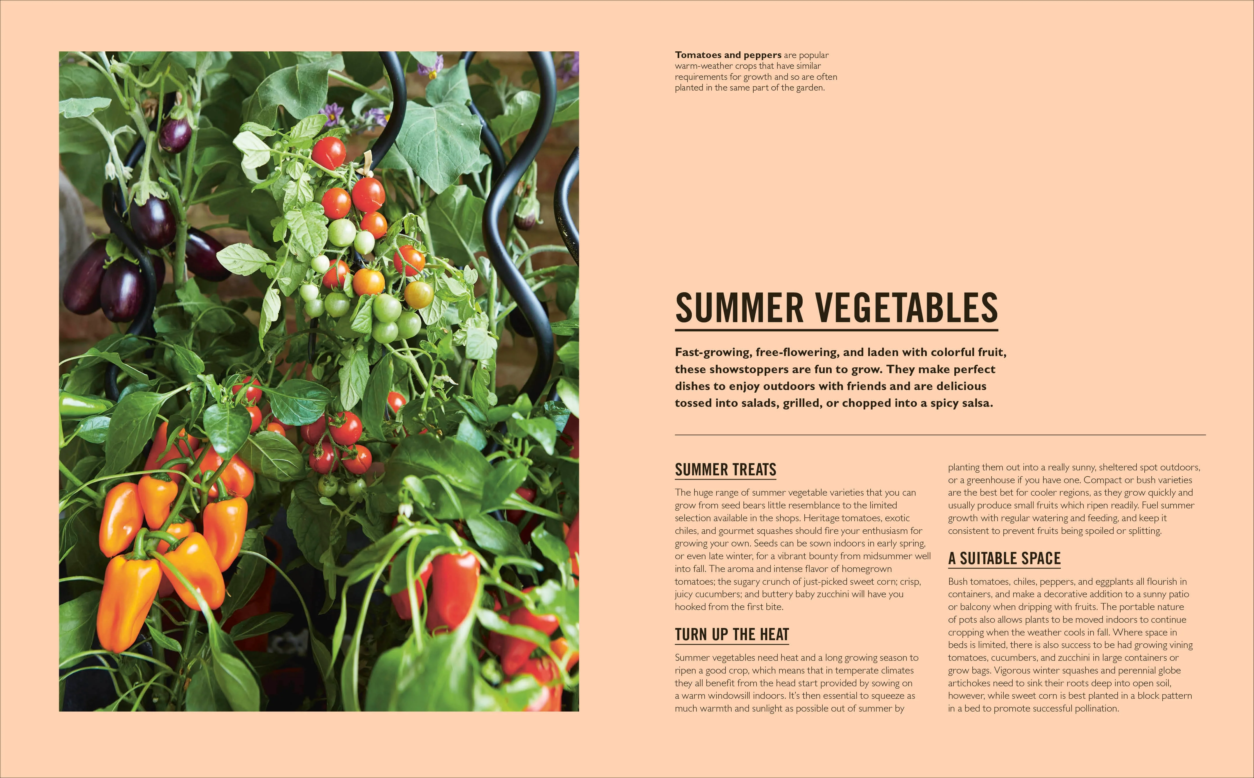 Grow Easy Vegetables - Image 5