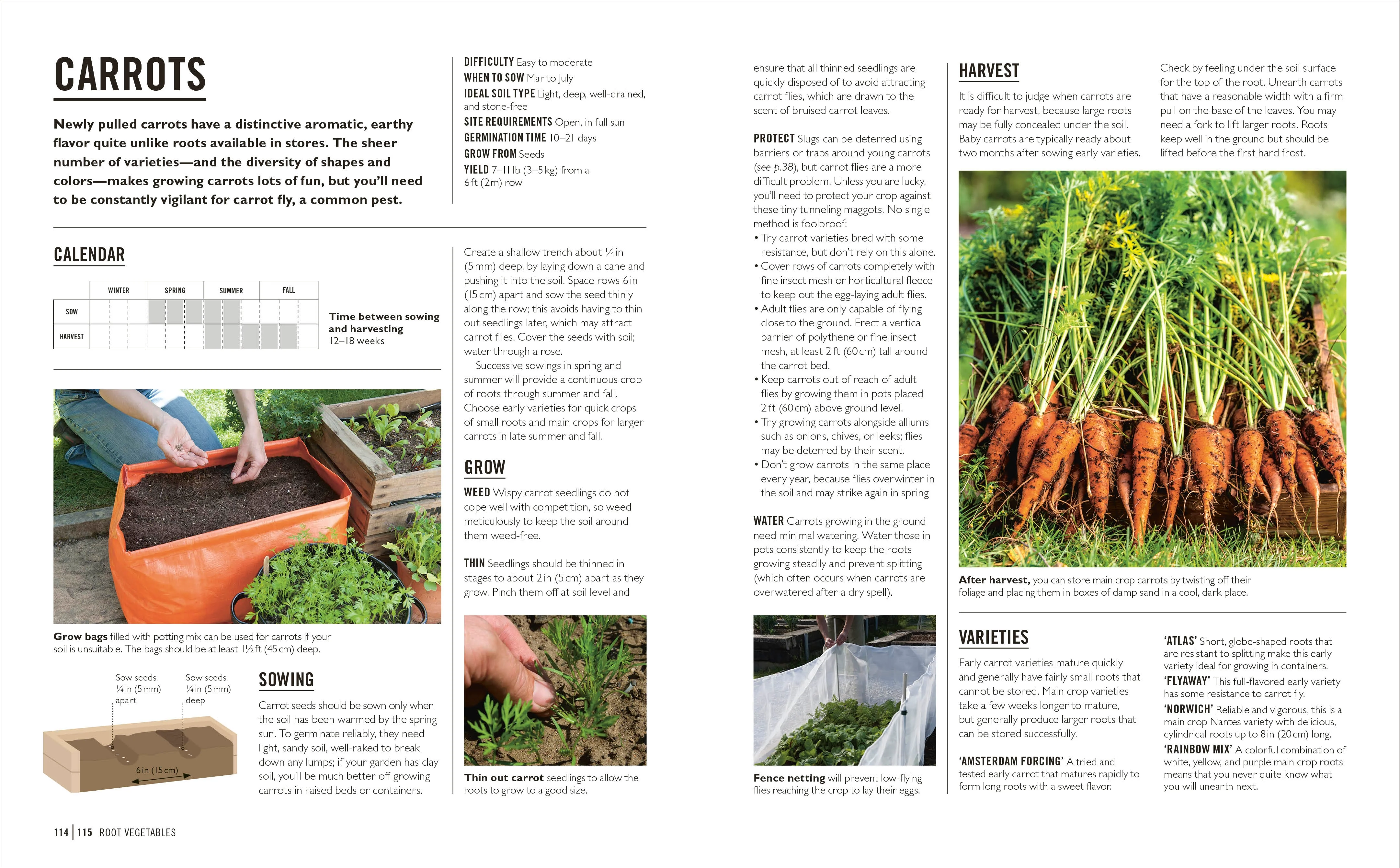 Grow Easy Vegetables - Image 6