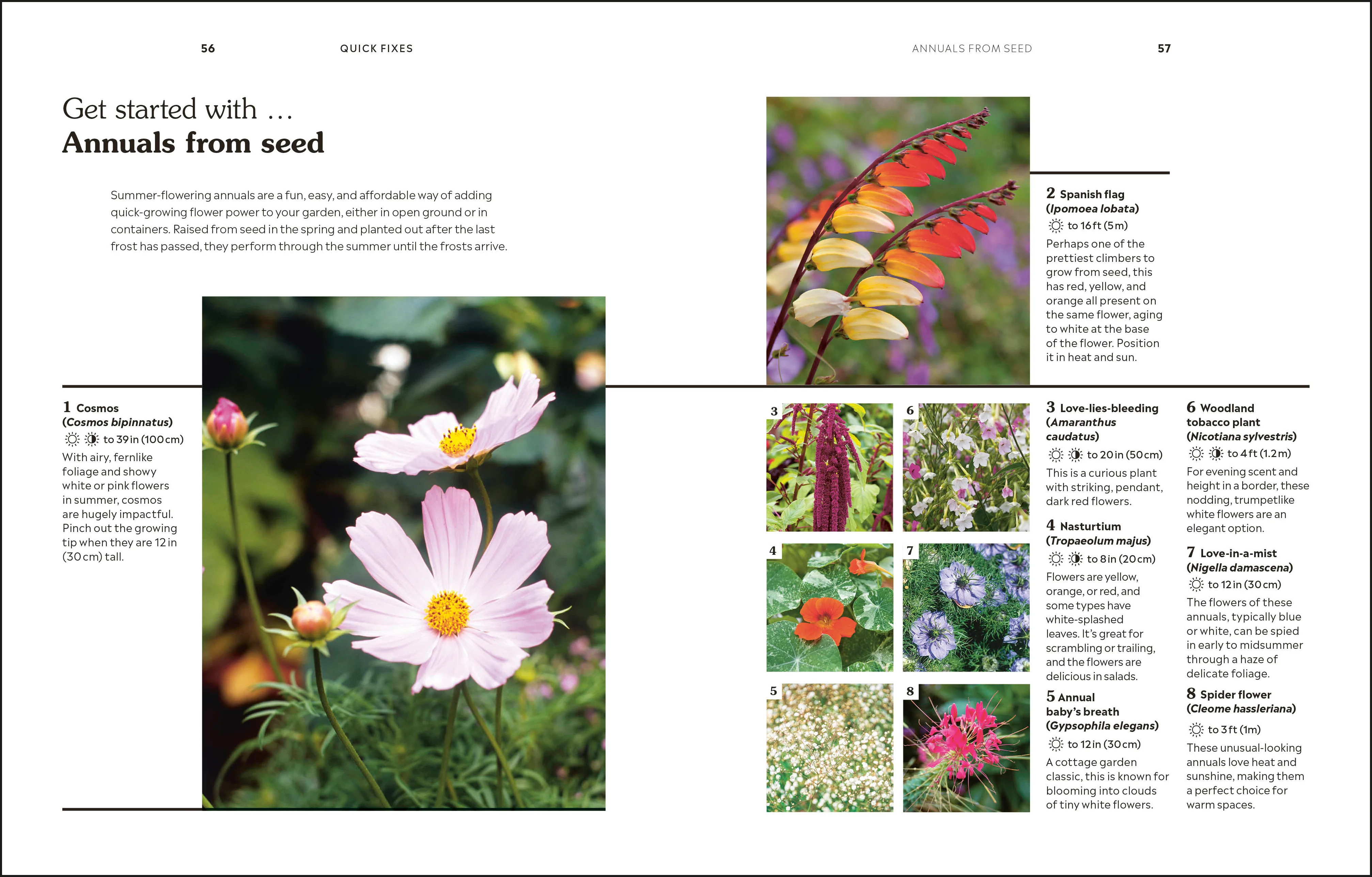 How to Garden When You Rent - Image 3
