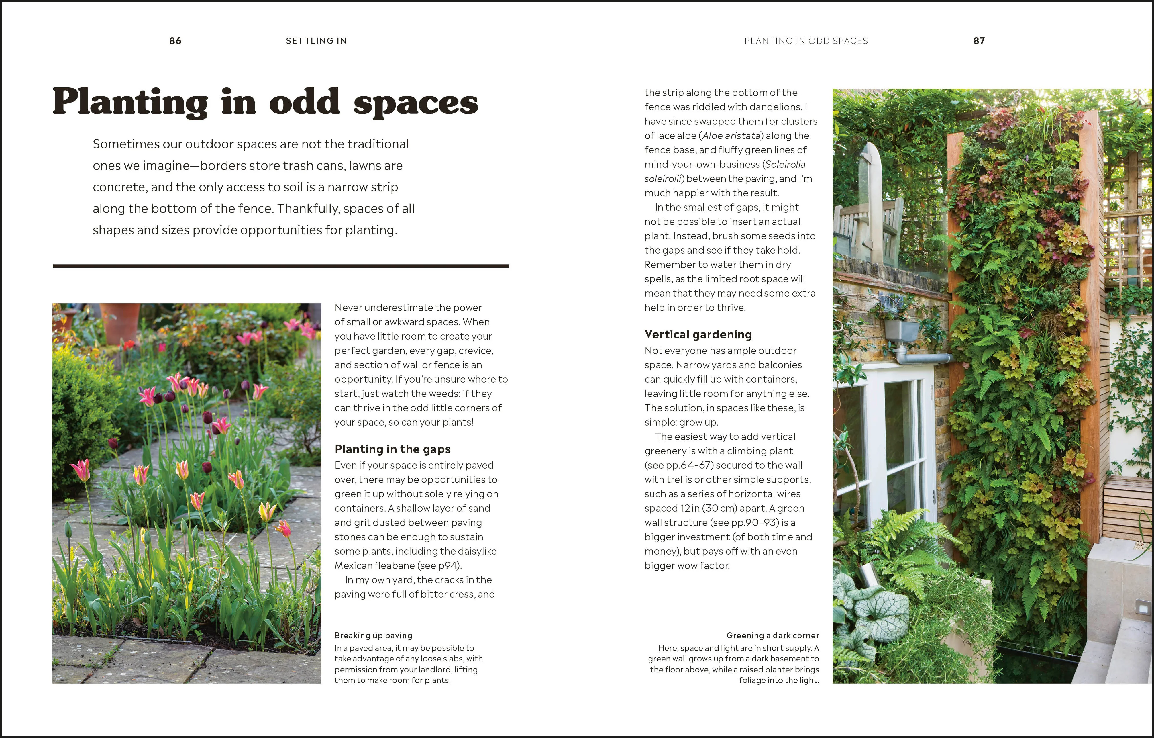 How to Garden When You Rent - Image 6
