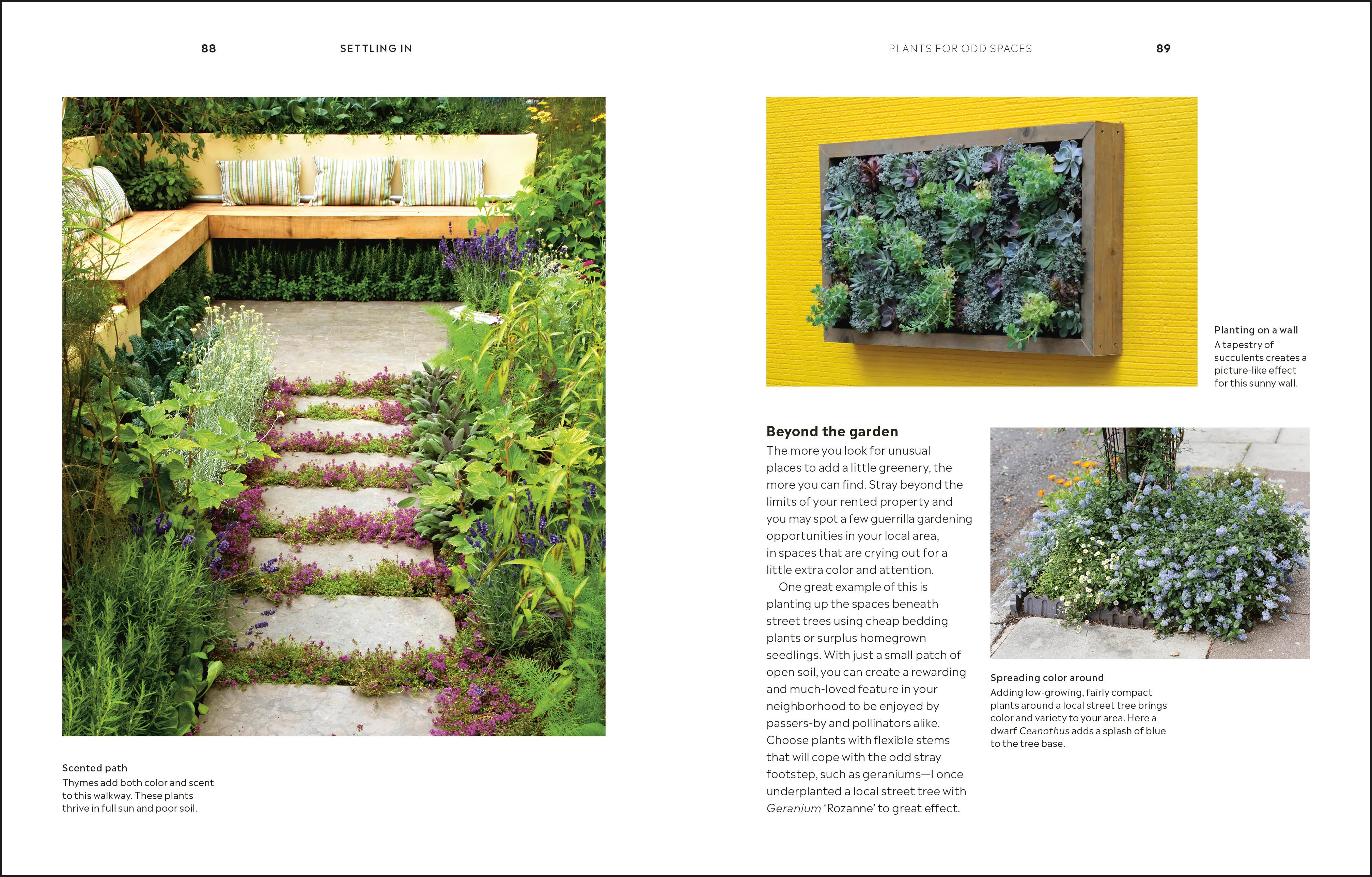 How to Garden When You Rent - Image 7