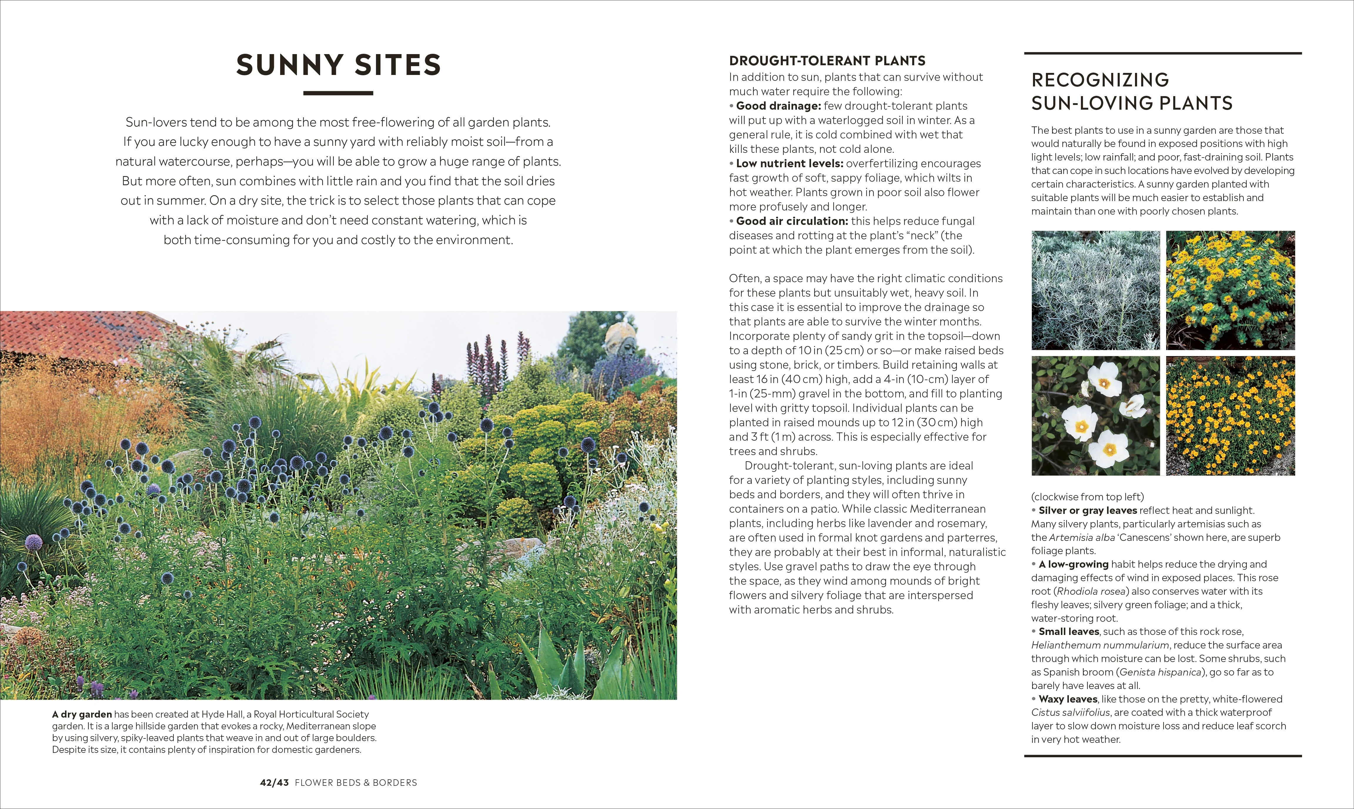 How to Garden, New Edition - Image 3