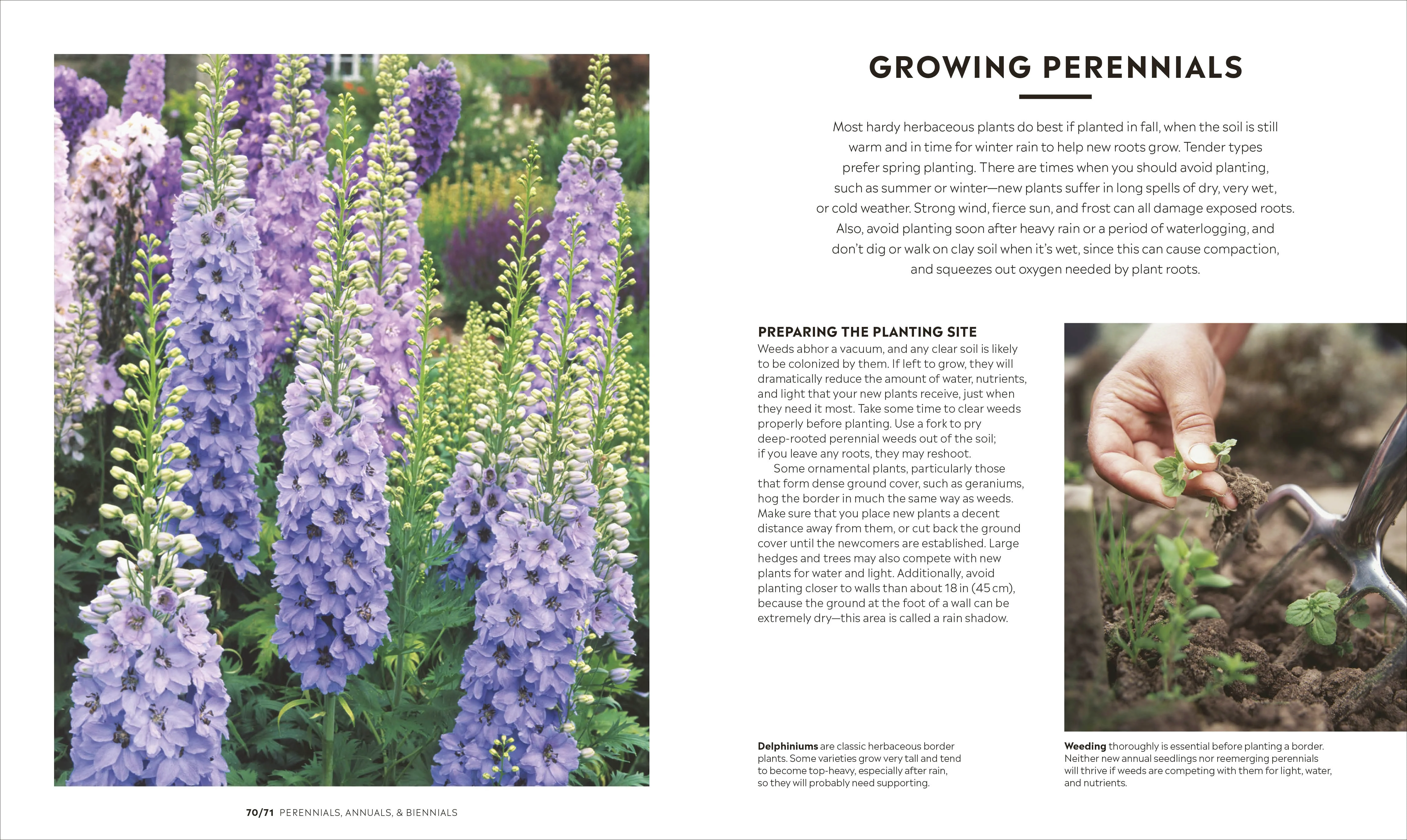 How to Garden, New Edition - Image 4