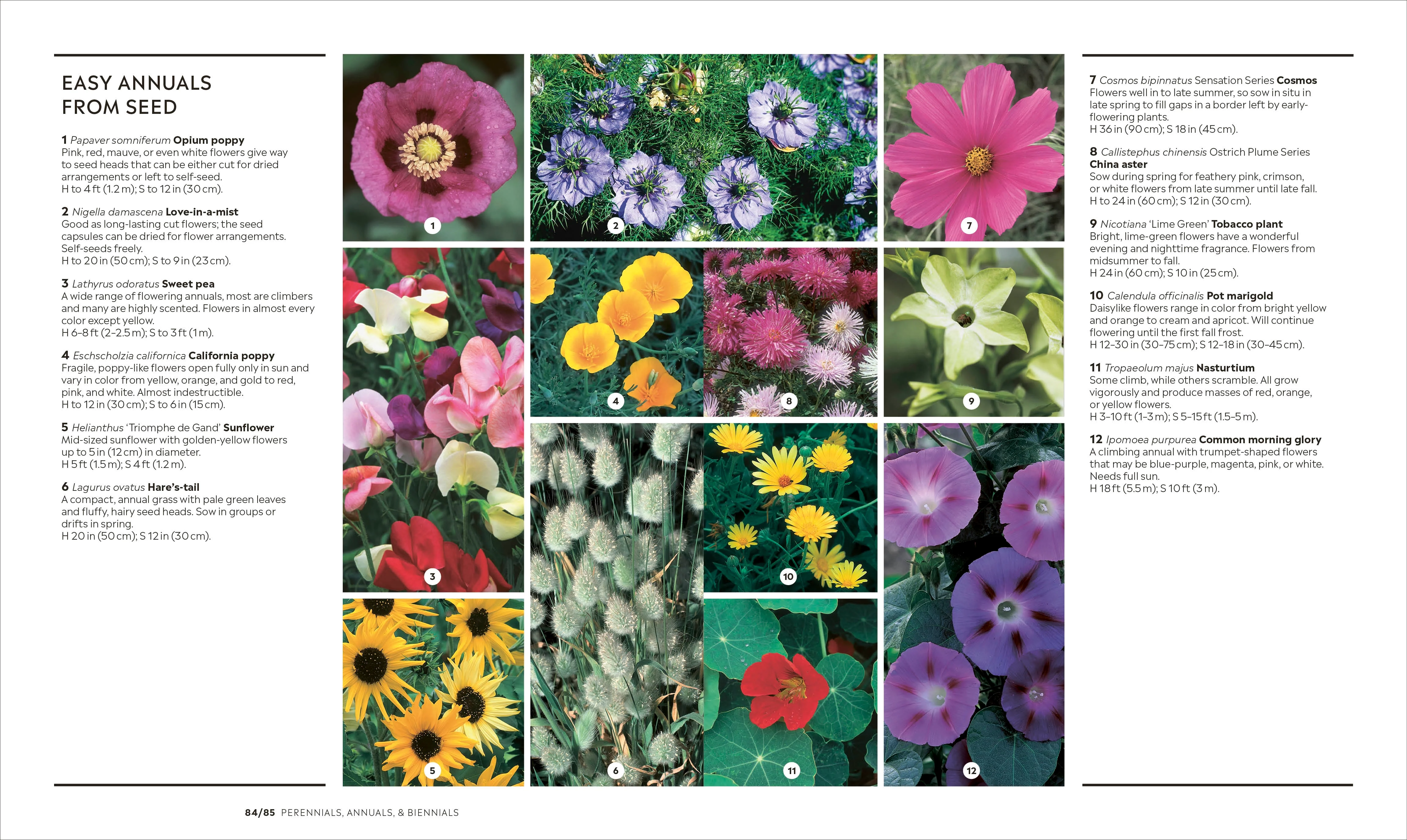 How to Garden, New Edition - Image 6