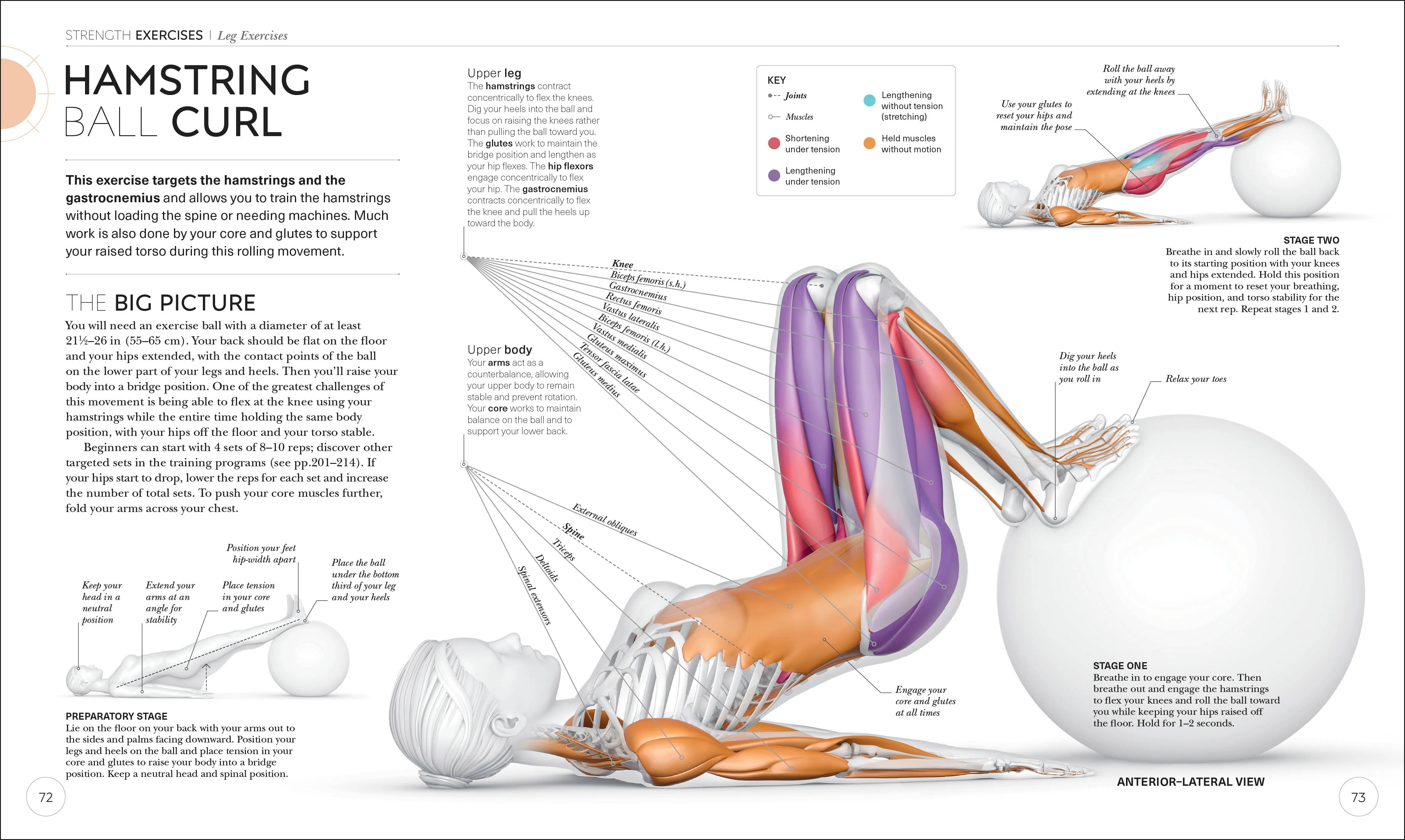 Science of Strength Training - Image 4