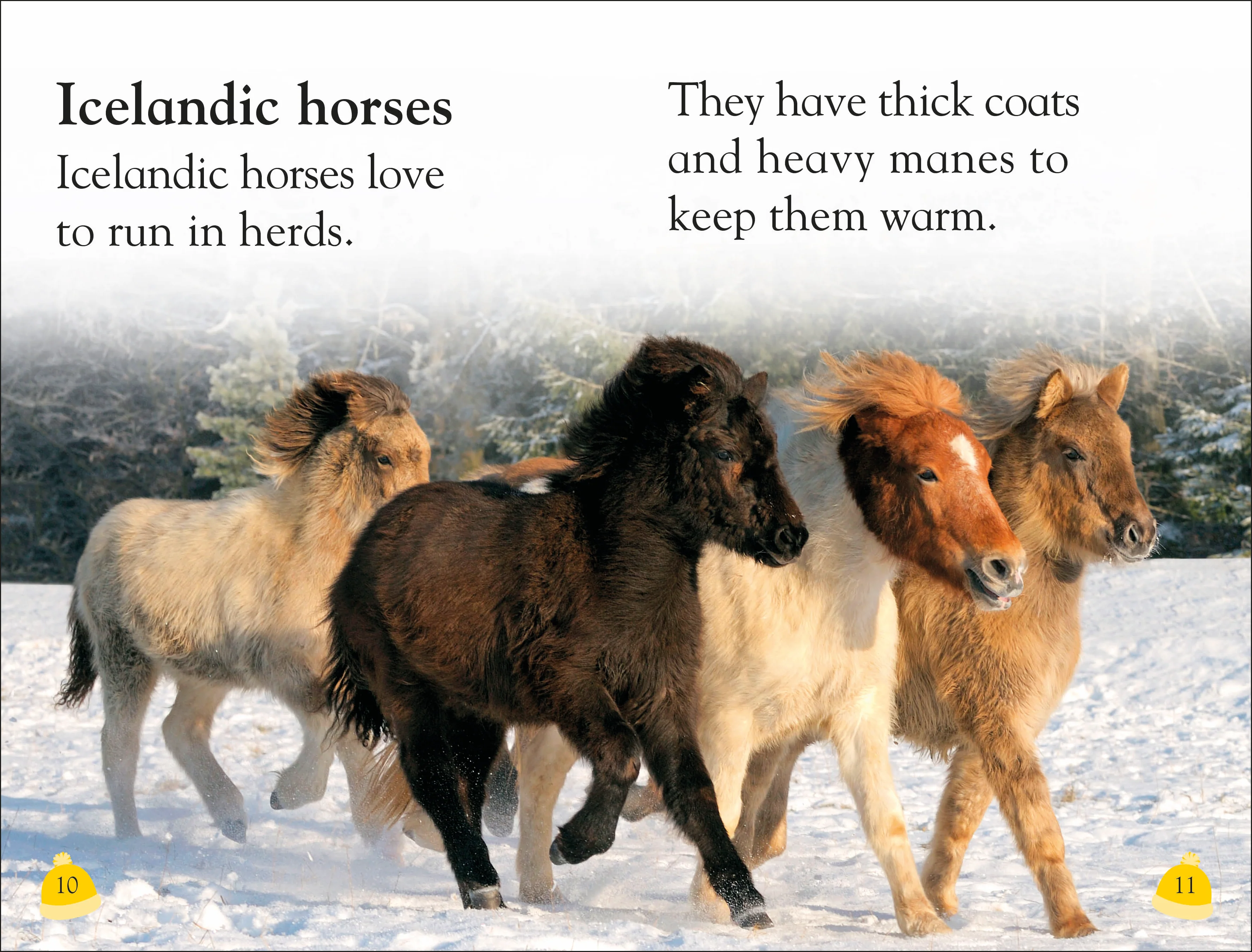 DK Reader Level 1: Welcome To Iceland - Image 3